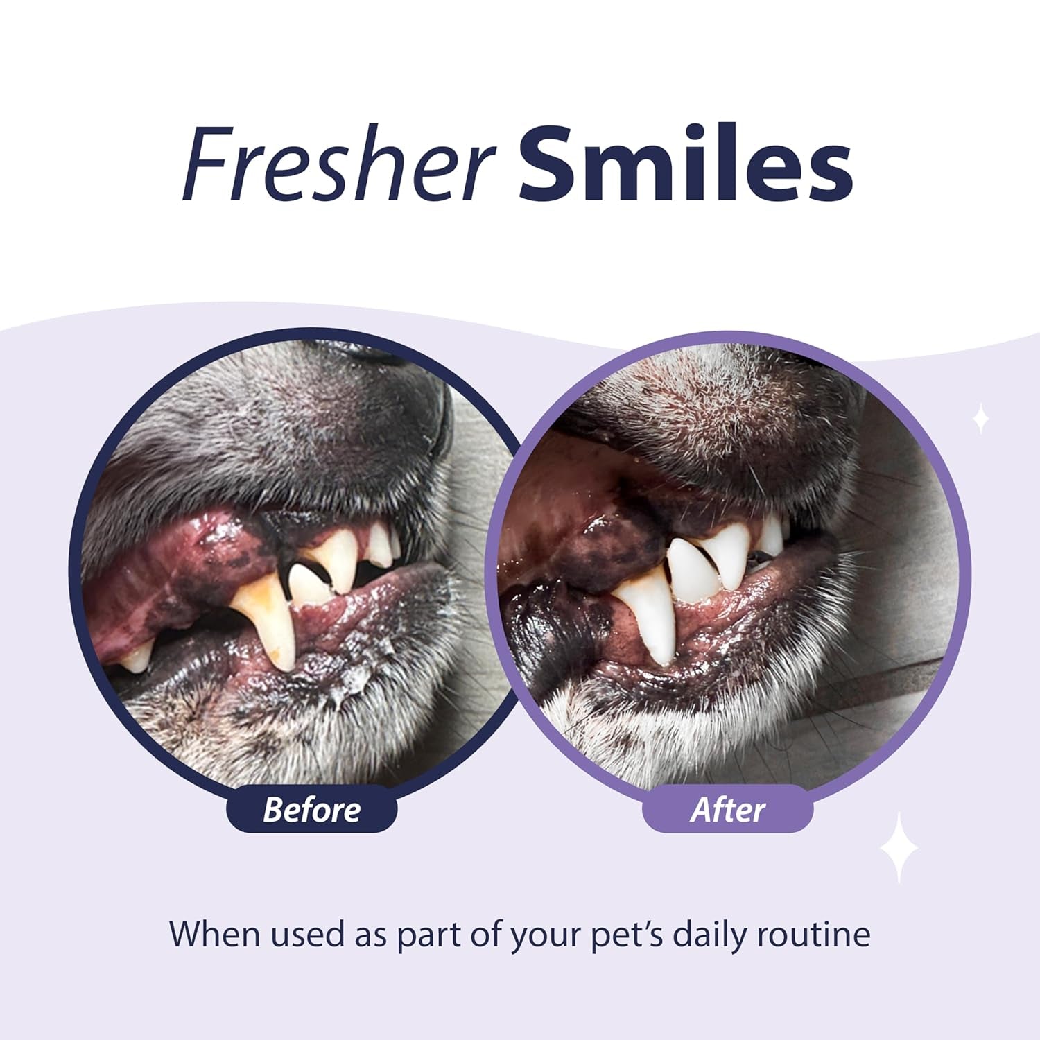 Advanced Plaque and Tartar Water Additive, 17Oz – Dog Teeth Cleaning Formula to Freshen Breath and Improve Cat & Dog Dental Care