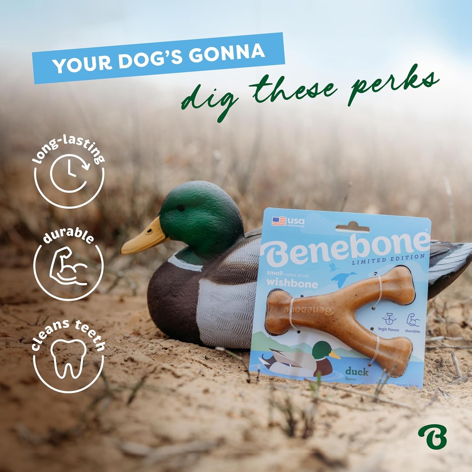 Wishbone Durable Dog Chew Toy for Aggressive Chewers, Duck, Made in USA, Medium