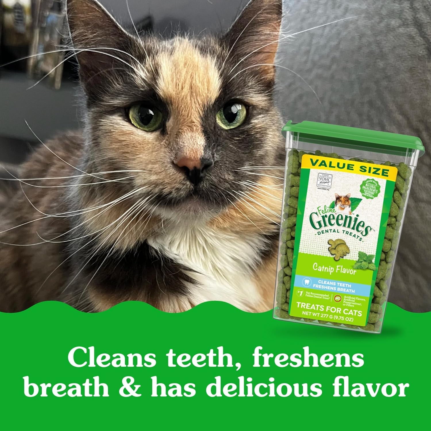 Feline Adult Dental Cat Treats, Catnip Flavor, 9.75 Oz. Tub