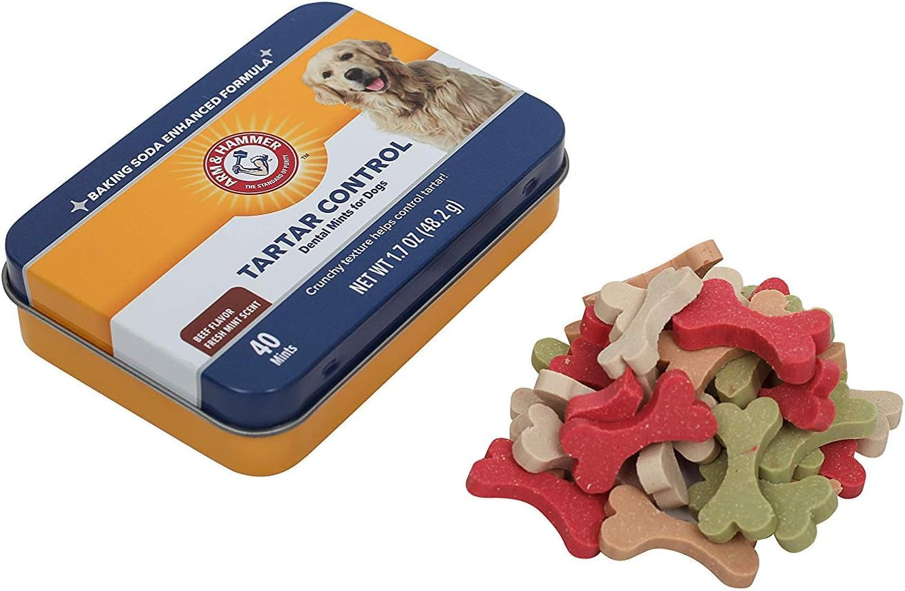 for Pets Tartar Control Dental Mints for Dogs | Dog Dental Mints Help Reduce Plaque & Tartar Buildup without Brushing | Beef Flavor, 40 Count