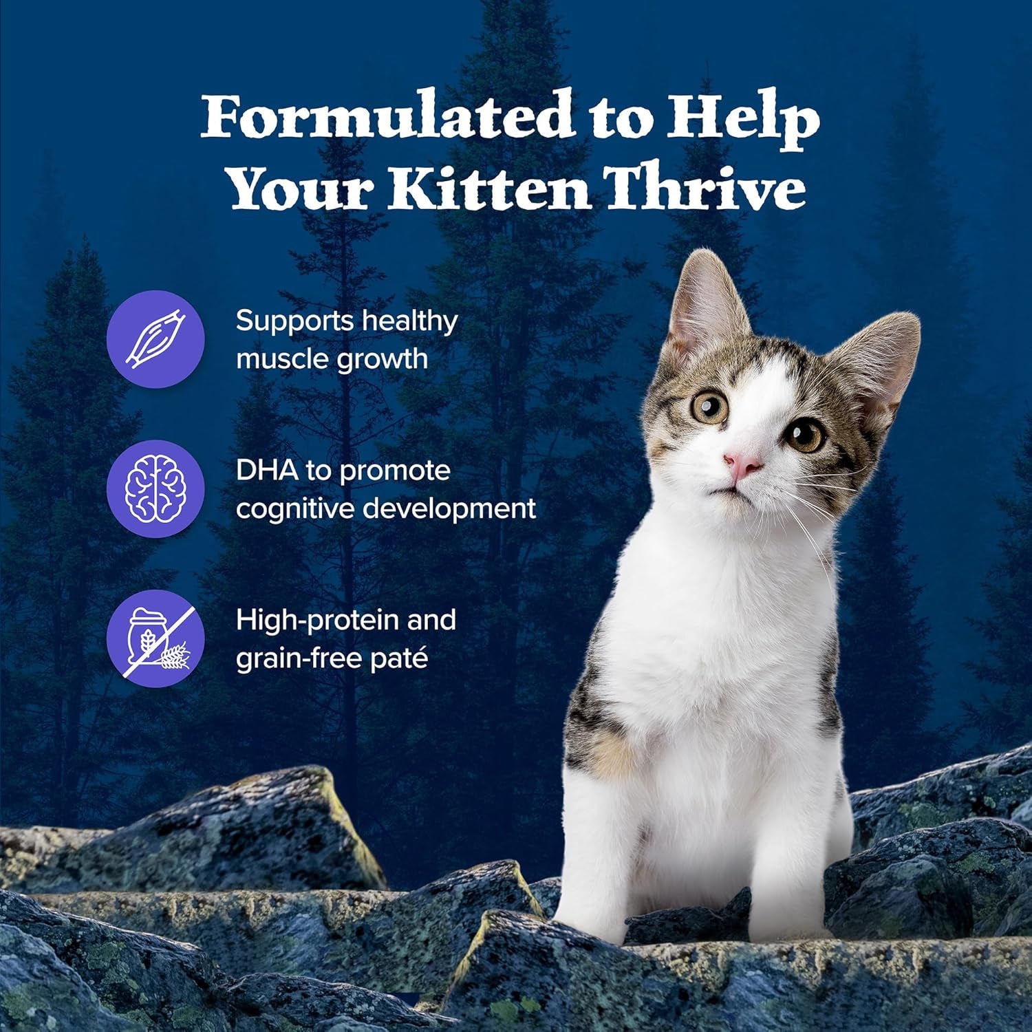 Wilderness High-Protein Grain-Free Wet Kitten Food, Chicken Paté Recipe, 3-Oz Cans, 24-Count