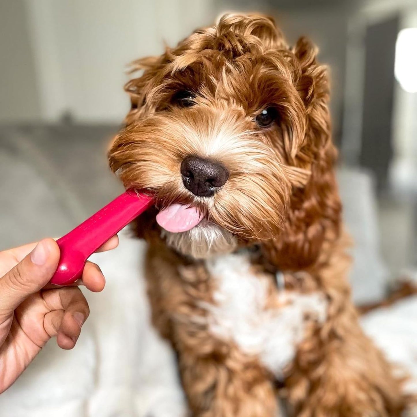 Original Bone Power Chew Toy for Dogs, Durable Dog Toys for Aggressive Chewers, Peanut Butter Flavor, Small - up to 25 Ibs, 3 Pack
