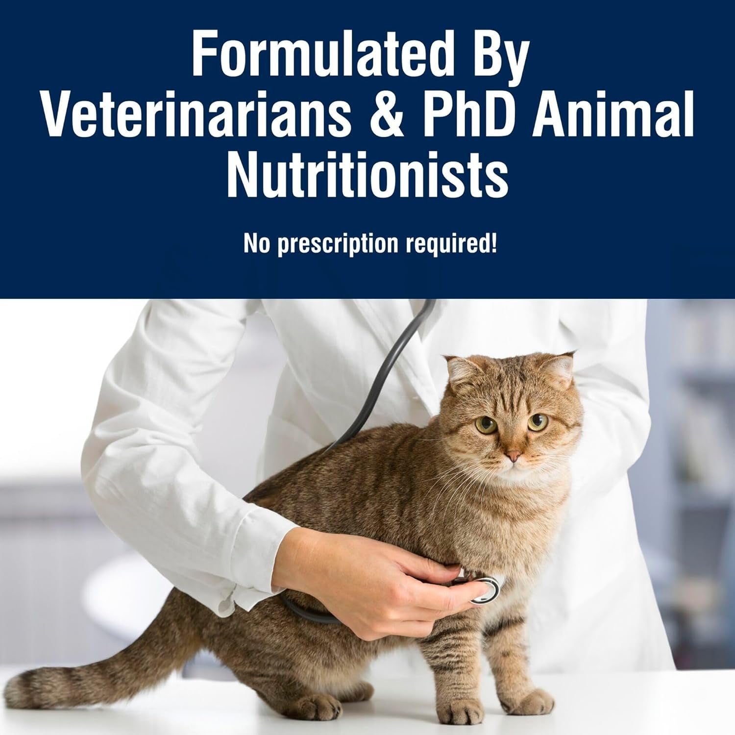 True Solutions Digestive Care Natural Dry Cat Food for Adult Cats, Chicken, 3.5-Lb. Bag