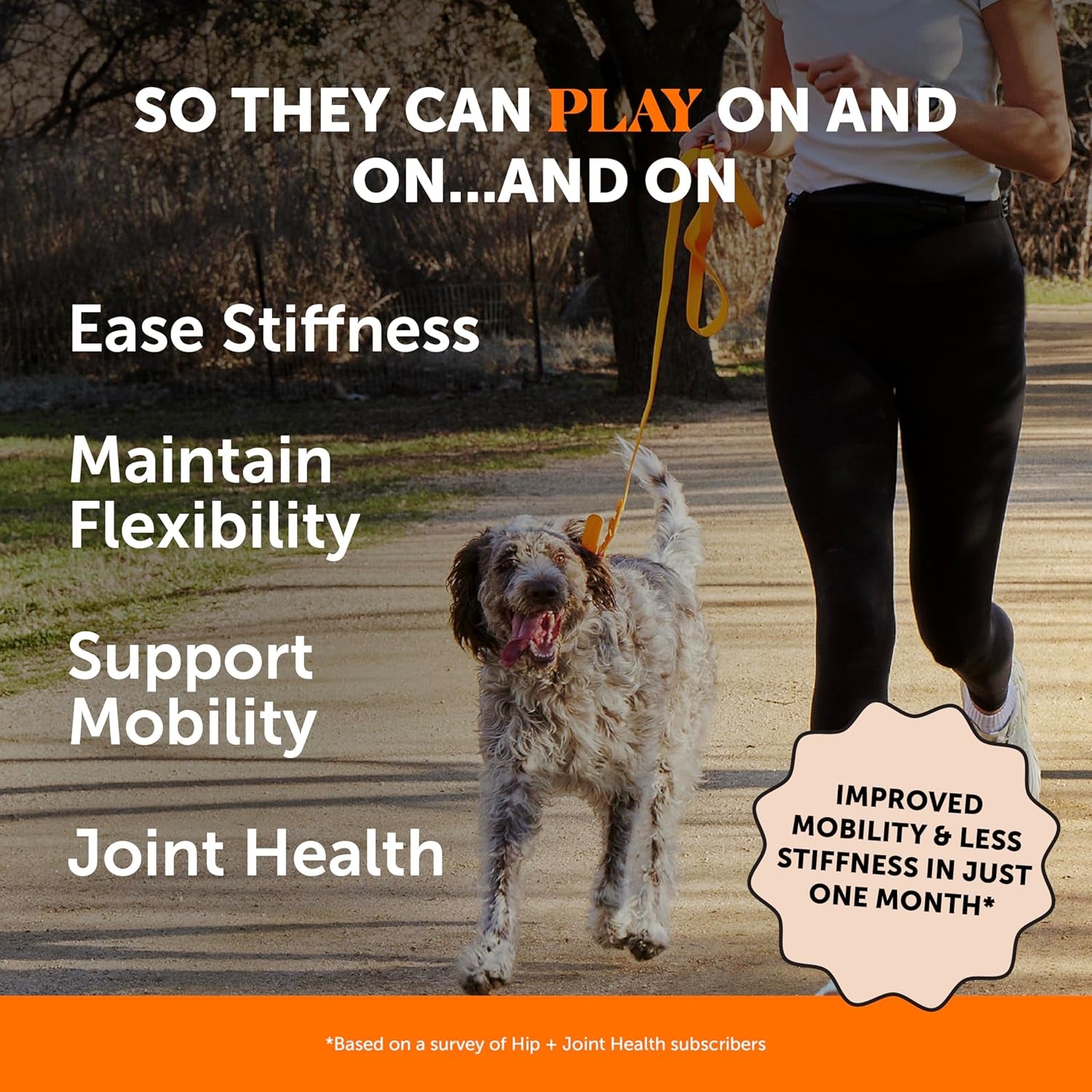 Hip & Joint Health Soft Chews for Dogs, Joint Supplement with Glucosamine Chondroitin, MSM, Turmeric, Joint Support + Mobility, May Reduce Occasional Discomfort (Chicken 90 Count)