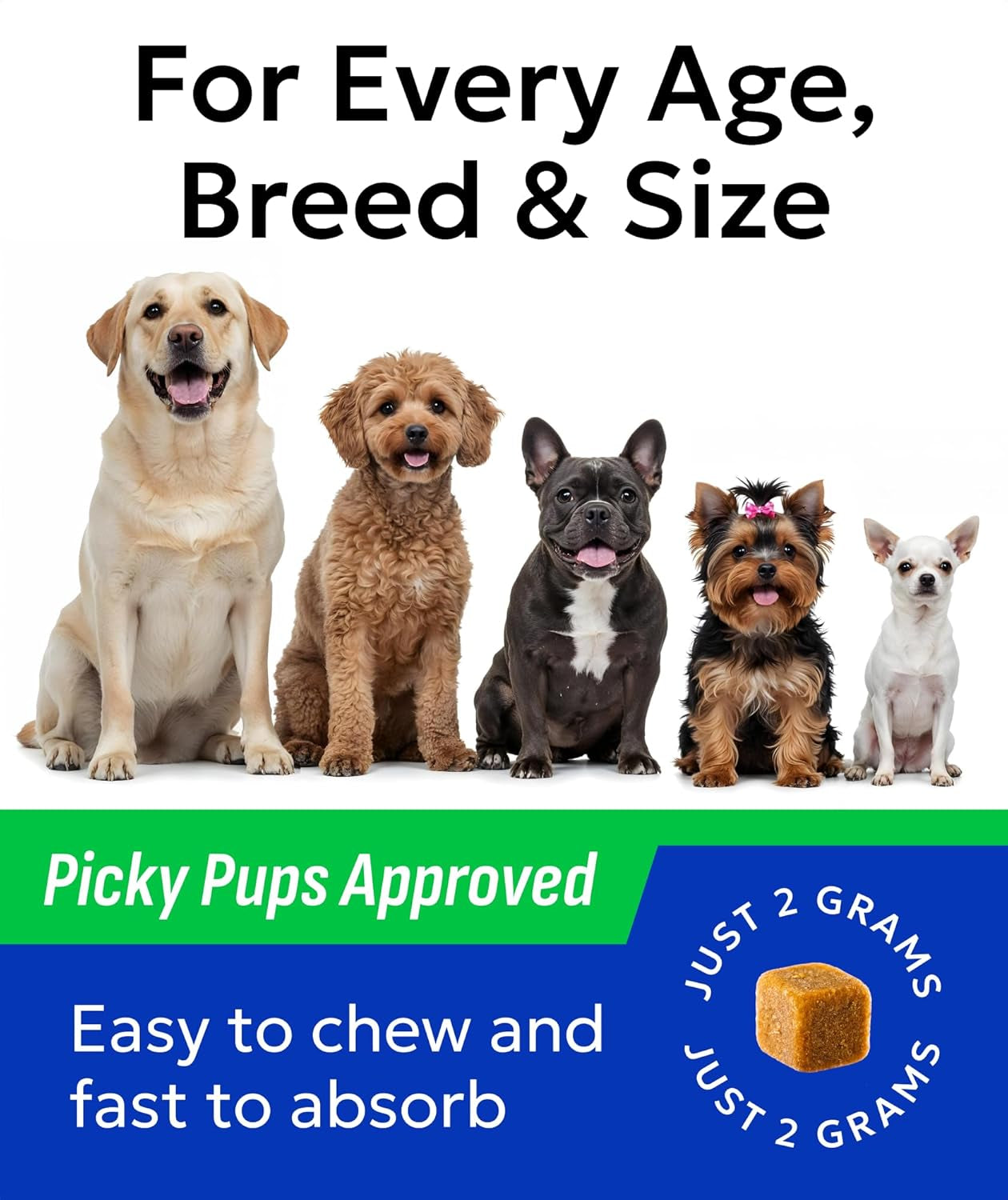 Probiotics for Dogs Digestive Health W/Enzymes - Diarrhea Gas Treatment Upset Stomach Relief - Allergy & Itchy Skin - Pet Dogs Probiotics - Digestion Supplement Treat (120Ct Chicken)