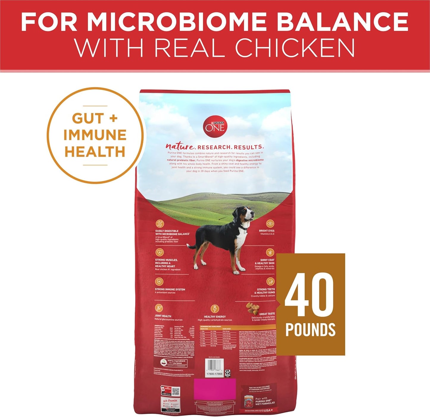 Chicken and Rice Formula Dry Dog Food - 40 Lb. Bag