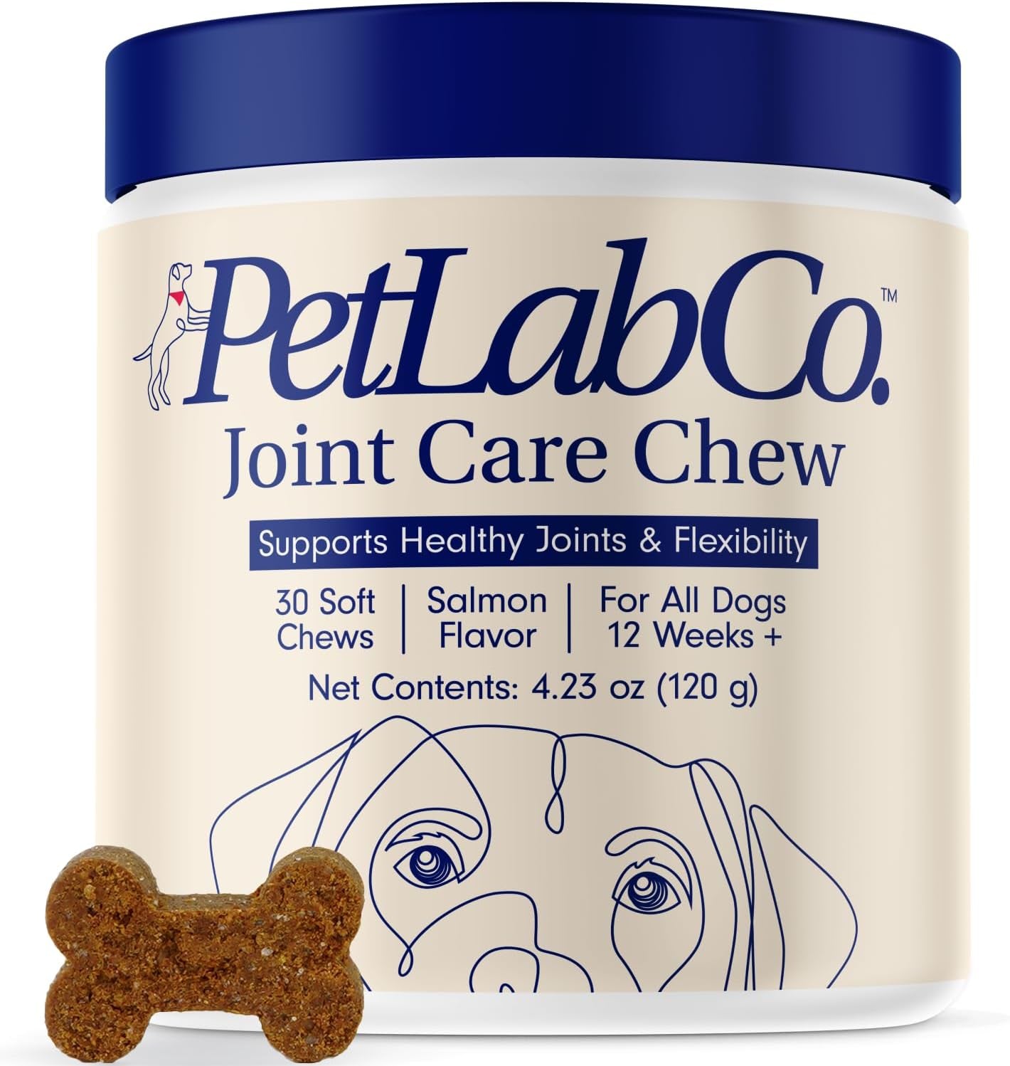 Joint Care Chews - High Levels of Glucosamine for Dogs, Green Lipped Mussels, and Omega 3 - Dog Hip and Joint Supplement to Actively Support Mobility - Packaging May Vary - Salmon