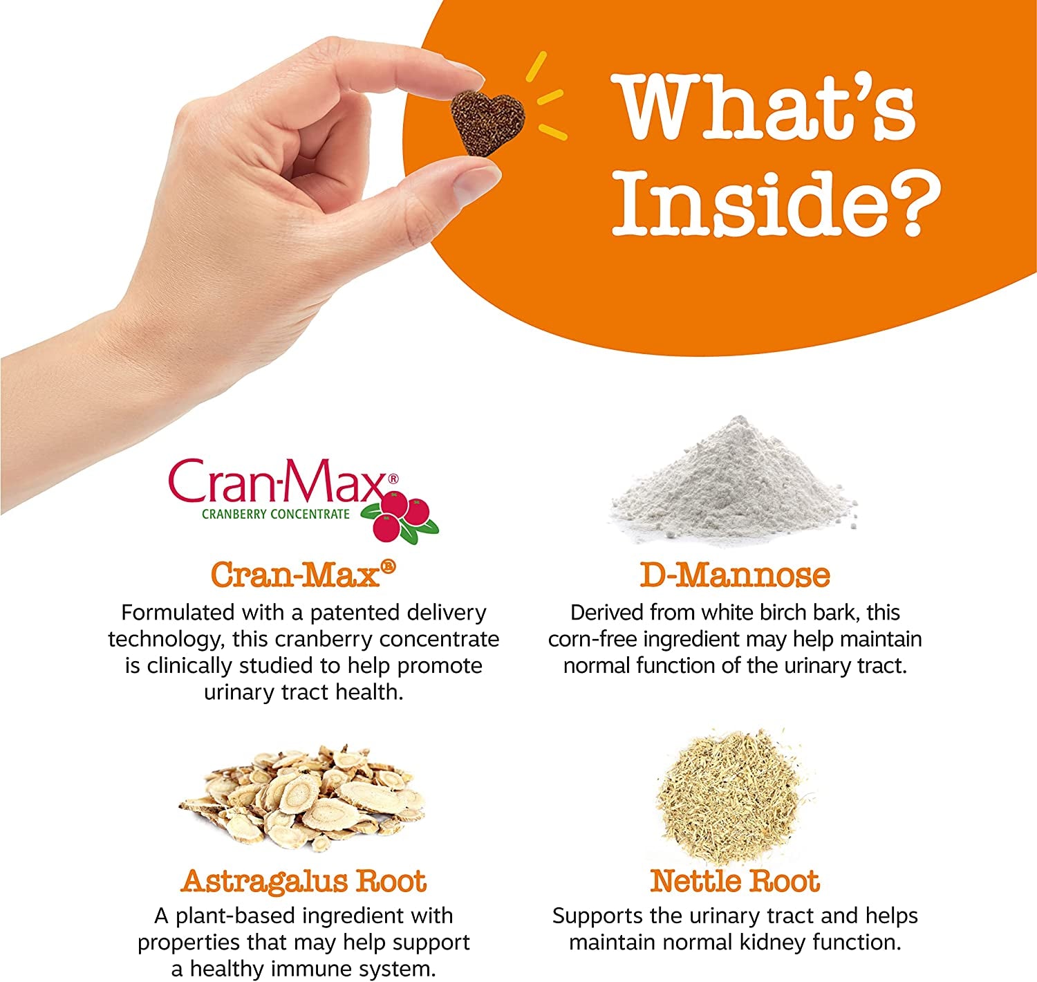 Cranberry Supplement for Dogs - Bladder Control for Dogs - Urinary Tract Support - Cranberry Chews with D-Mannose, Vitamin B6 & L-Arginine - Immune & Gut Support - Bacon - 90 Count