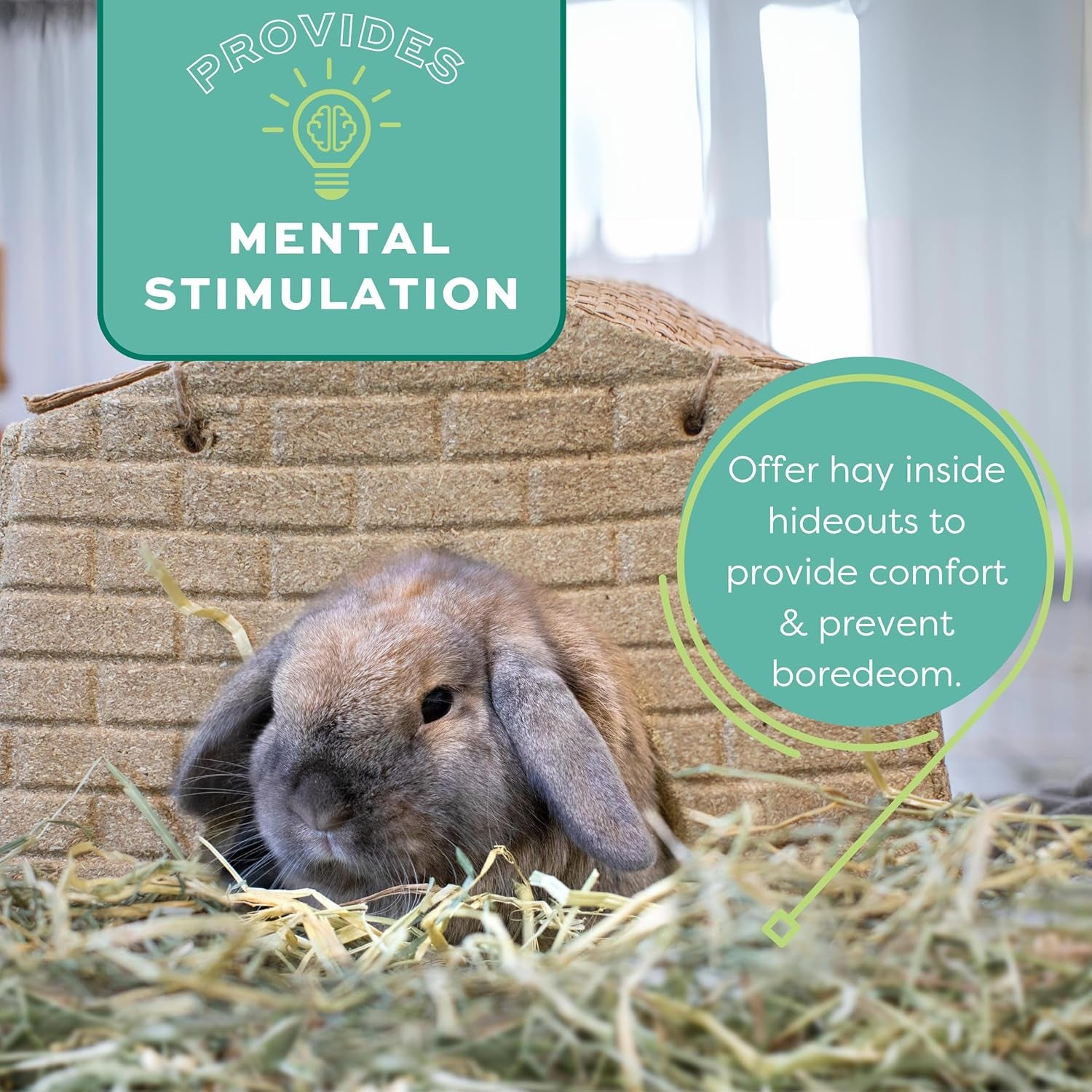 Western Timothy Hay for Small Pets – All-Natural Grass Hay for Rabbits, Guinea Pigs, and Chinchillas – High Fiber for Digestive Health and Dental Support – 40 Oz Bag