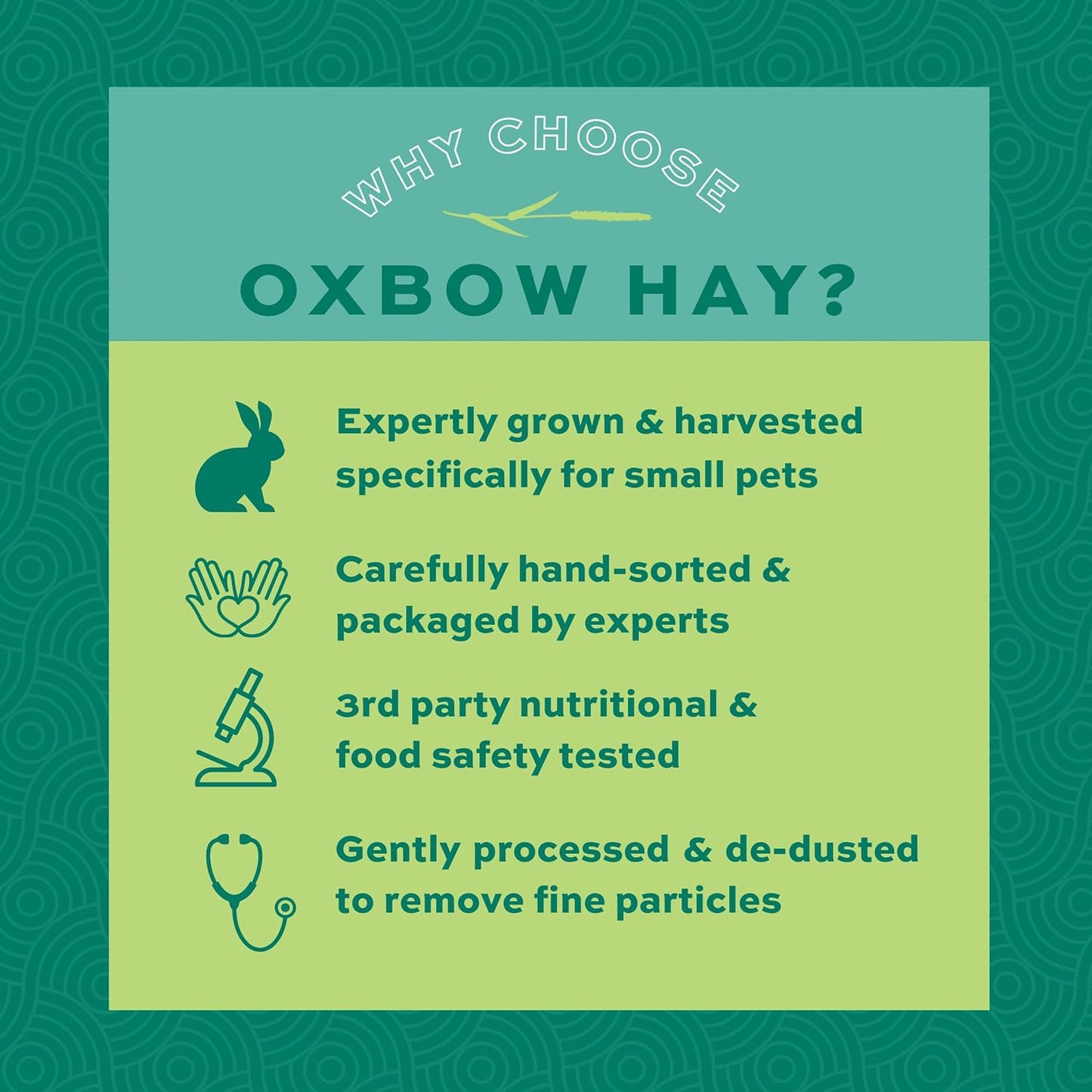 Western Timothy Hay for Small Pets – All-Natural Grass Hay for Rabbits, Guinea Pigs, and Chinchillas – High Fiber for Digestive Health and Dental Support – 40 Oz Bag