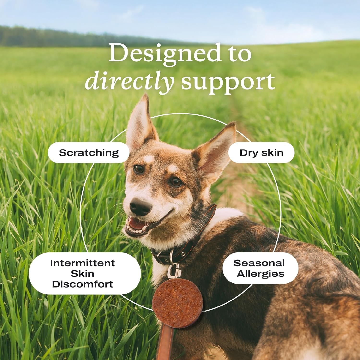 Itch Relief Chew Pro – Itch Relief Chews for Dogs – Omega 3 for Dogs Itch Supplement - Packed with Beneficial Fatty Acids for Healthy Skin – Seasonal Allergies Support - Packaging May Vary