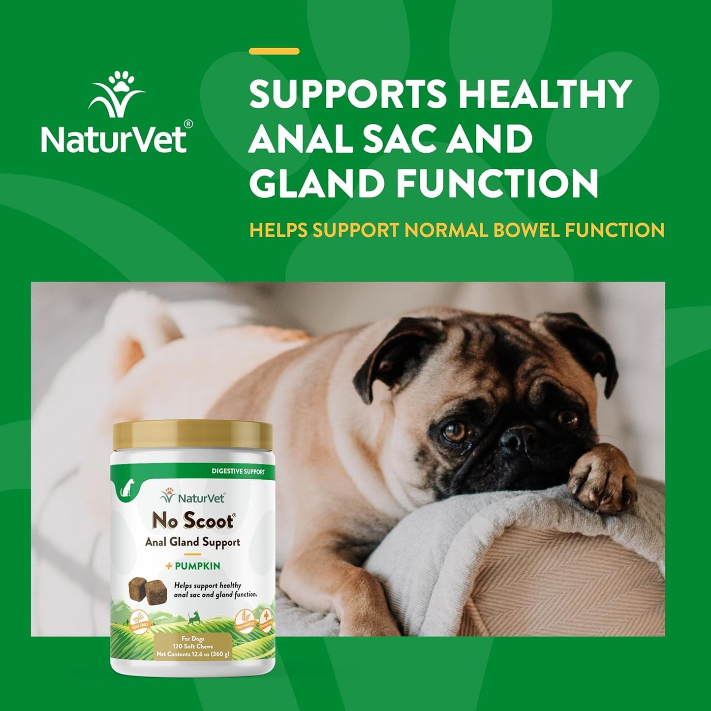 - No Scoot for Dogs - 120 Soft Chews - plus Pumpkin - Supports Healthy Anal Gland & Bowel Function - Enhanced with Beet Pulp & Psyllium Husk