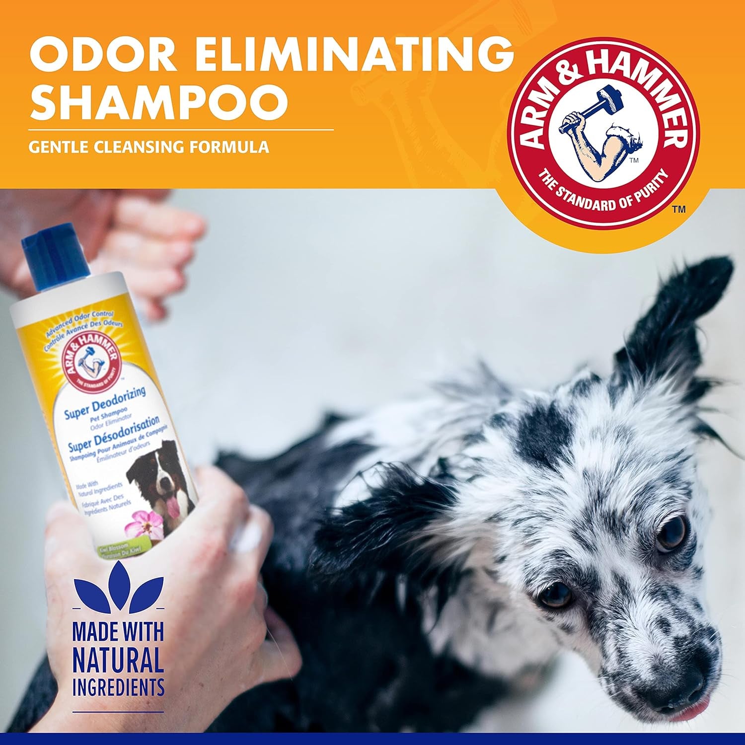 for Pets Super Deodorizing Shampoo for Dogs | Best Odor Eliminating Dog Shampoo | Great for All Dogs & Puppies, Fresh Kiwi Blossom Scent, 16 Oz
