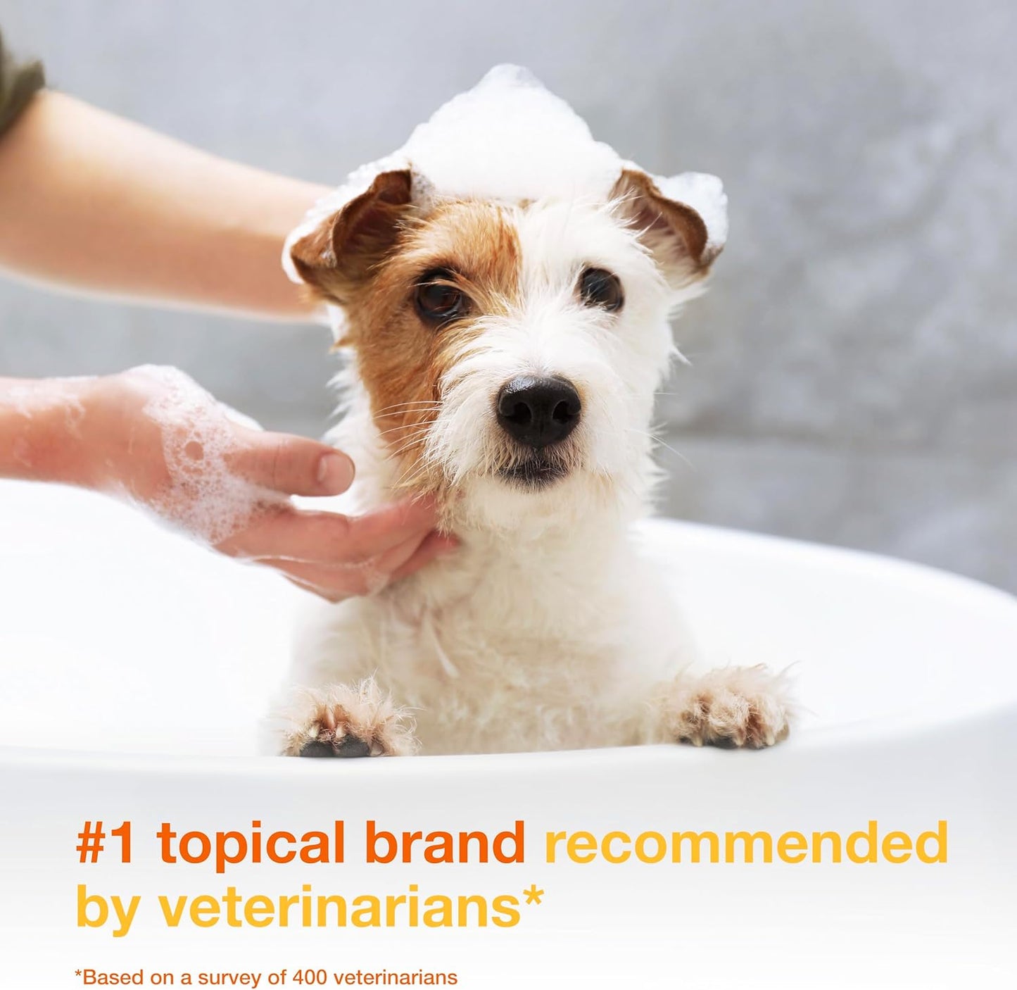 S3 Pyo Shampoo, Contains 3% Chlorhexidine & 0.5% Ophytrium, Antiseptic & Hydrating, for Bacterial or Yeast Skin Infections, for Dogs and Cats, 6.7 Fl. Oz. (200Ml)