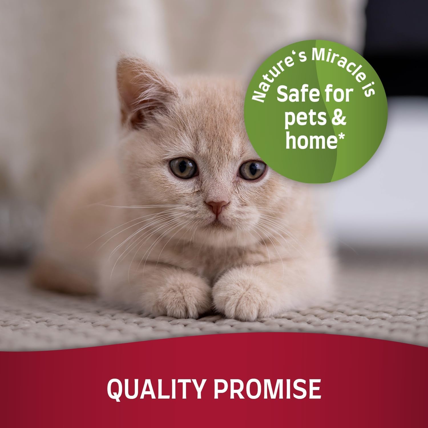 Stain and Odor Remover Cat, Odor Control Formula, Pour