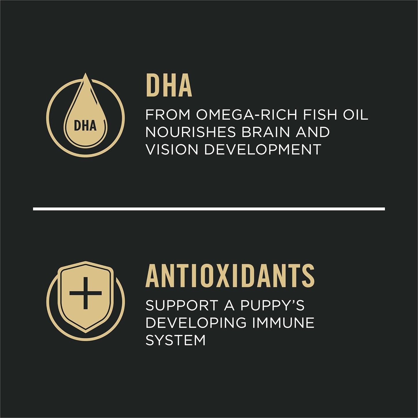 Large Breed Dry Puppy Food, Chicken and Rice Formula - 18 Lb. Bag