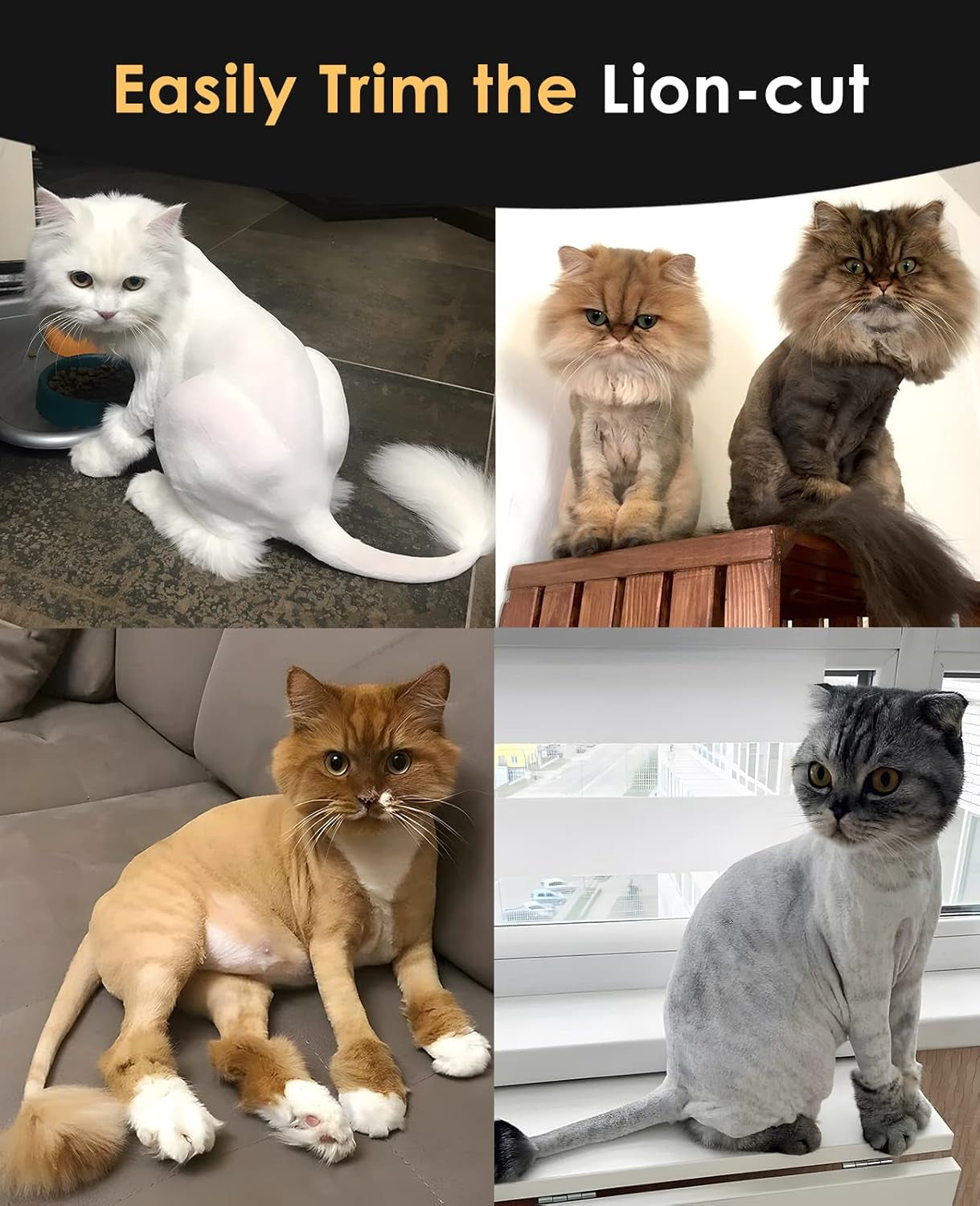 Quiet Cat Clippers for Matted & Long Hair, 2-Speed Cordless Pet Shaver Grooming Kit for Cats, Small Dogs & Animals (Black)