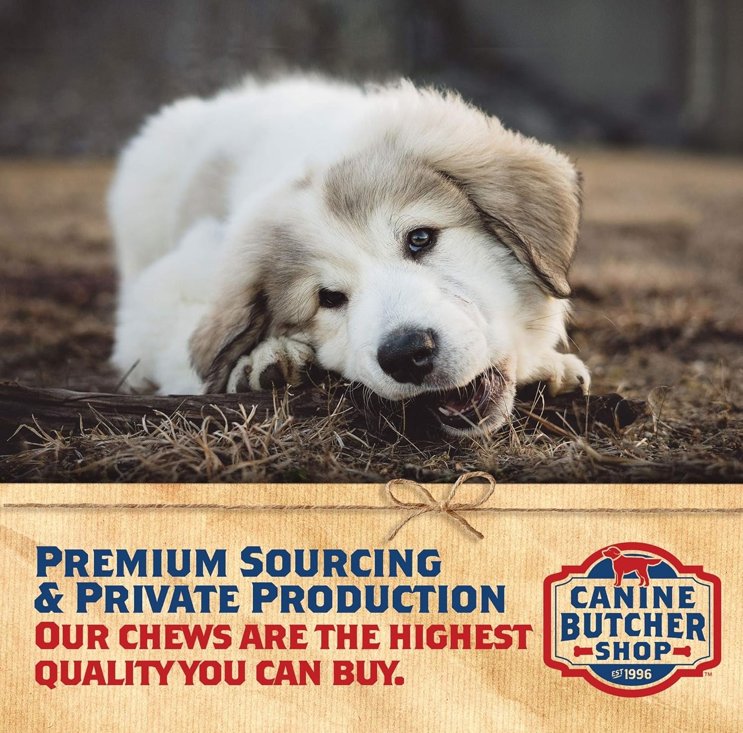 Chicken Feet Dog Treats, Raised & Made in USA (60-Pack), Dehydrated Chicken Feet, All Natural Dog Chews & Snacks