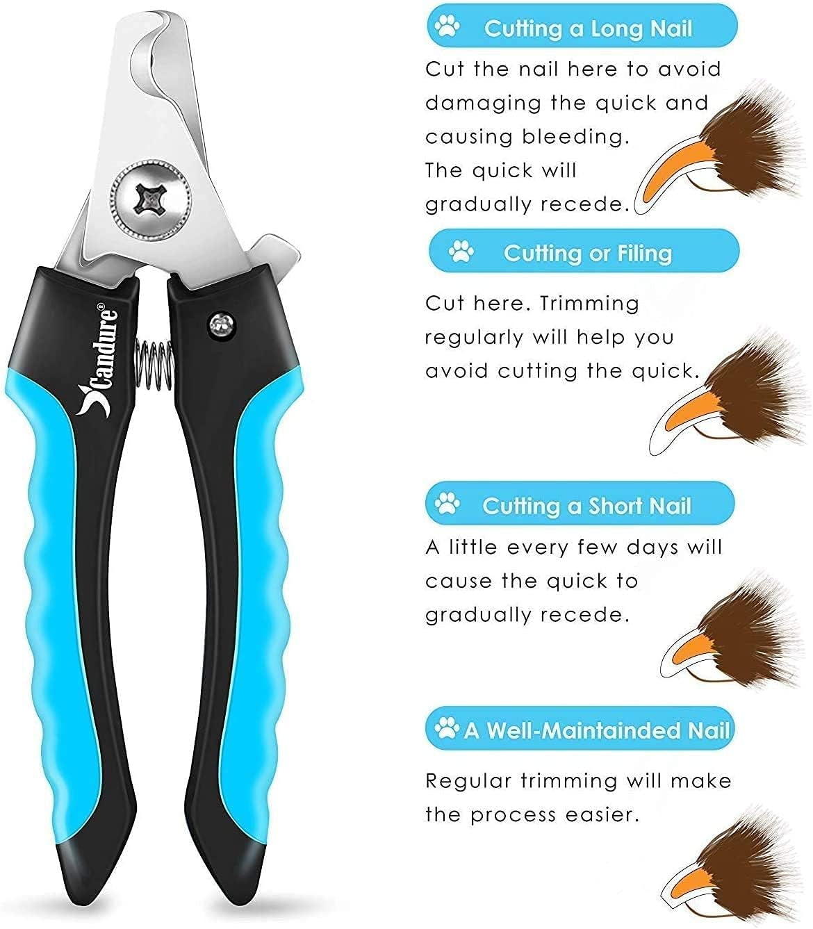 Dog Nail Clippers and Trimmer with Safety Guard to Avoid Over-Cutting Toe Nails Professional Grooming Pet Nail Clipper with Nail File for Small Medium-Large Breeds