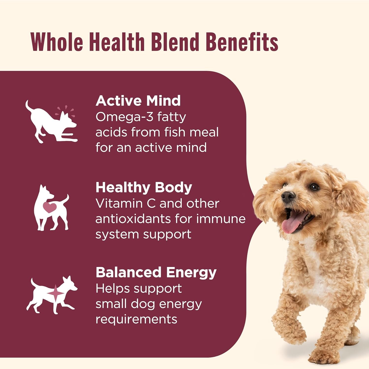 Little Bites Small Breed Premium Natural Dry Dog Food, Real Chicken & Veggies Recipe, 6 Pounds (Packaging May Vary), (Rachael Ray )