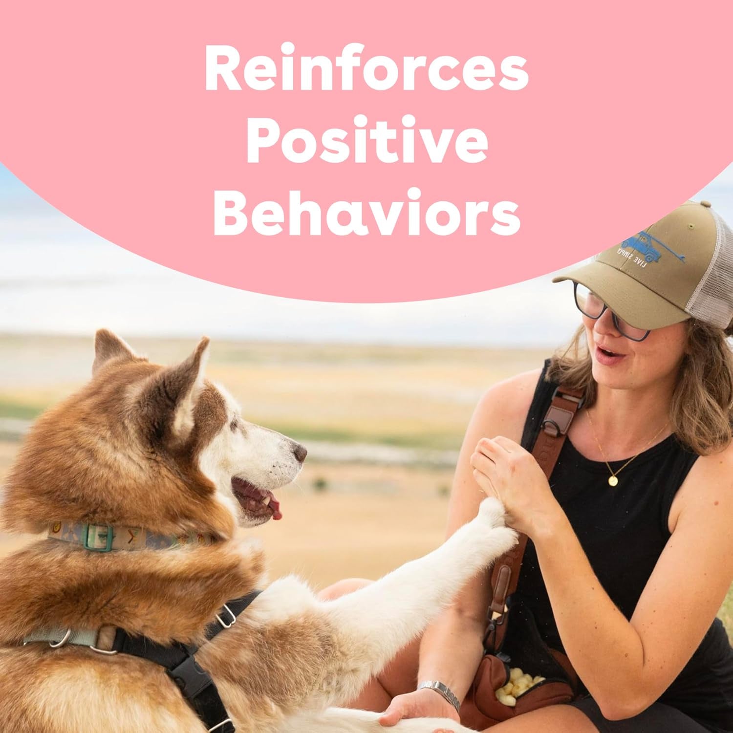 Freeze Dried Training Treats for Dogs & Puppies, 475+ Two Ingredient Bites (Rabbit, 4 Oz)