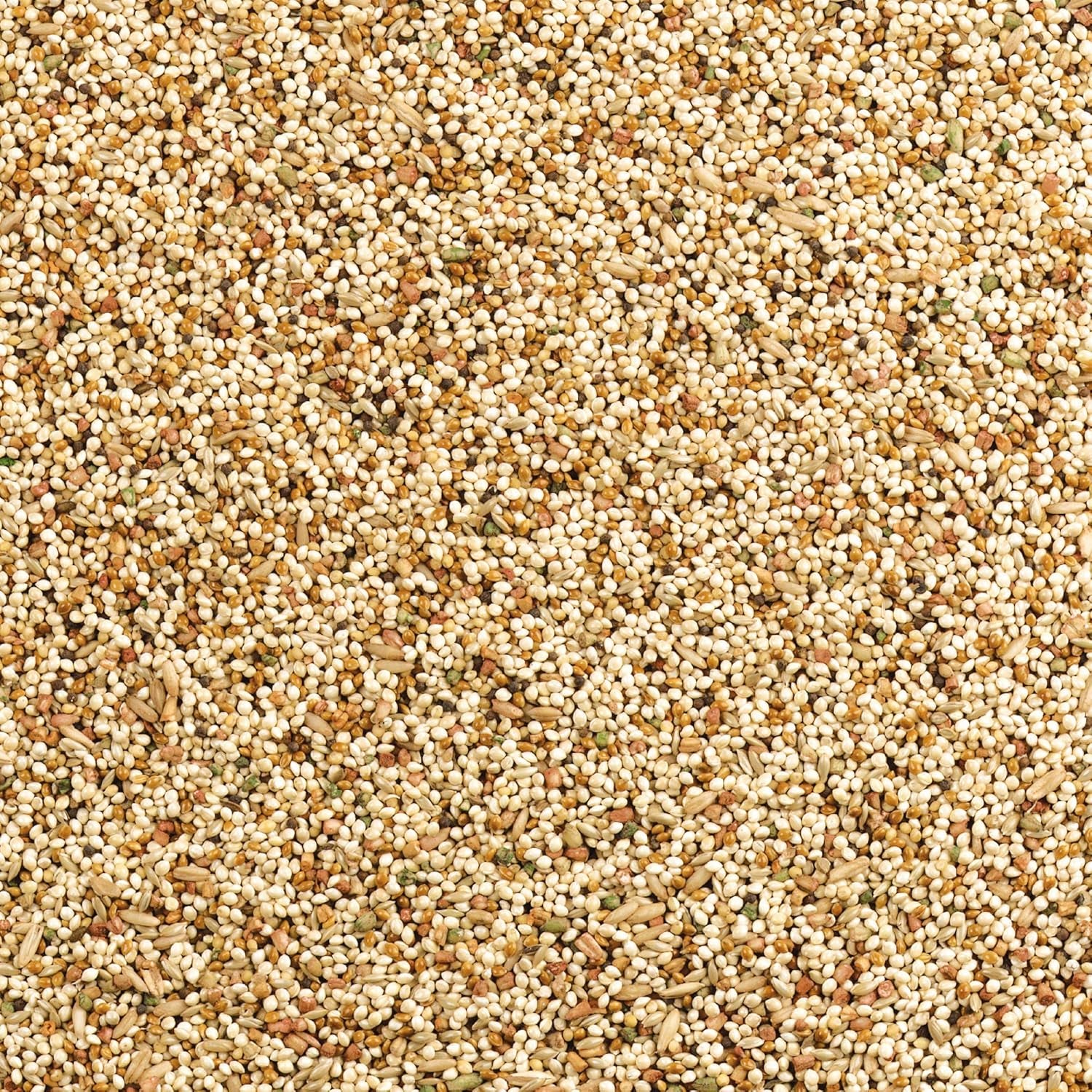 Daily Blend Nutrition Diet for Parakeet, Canary and Finch 10 Pounds