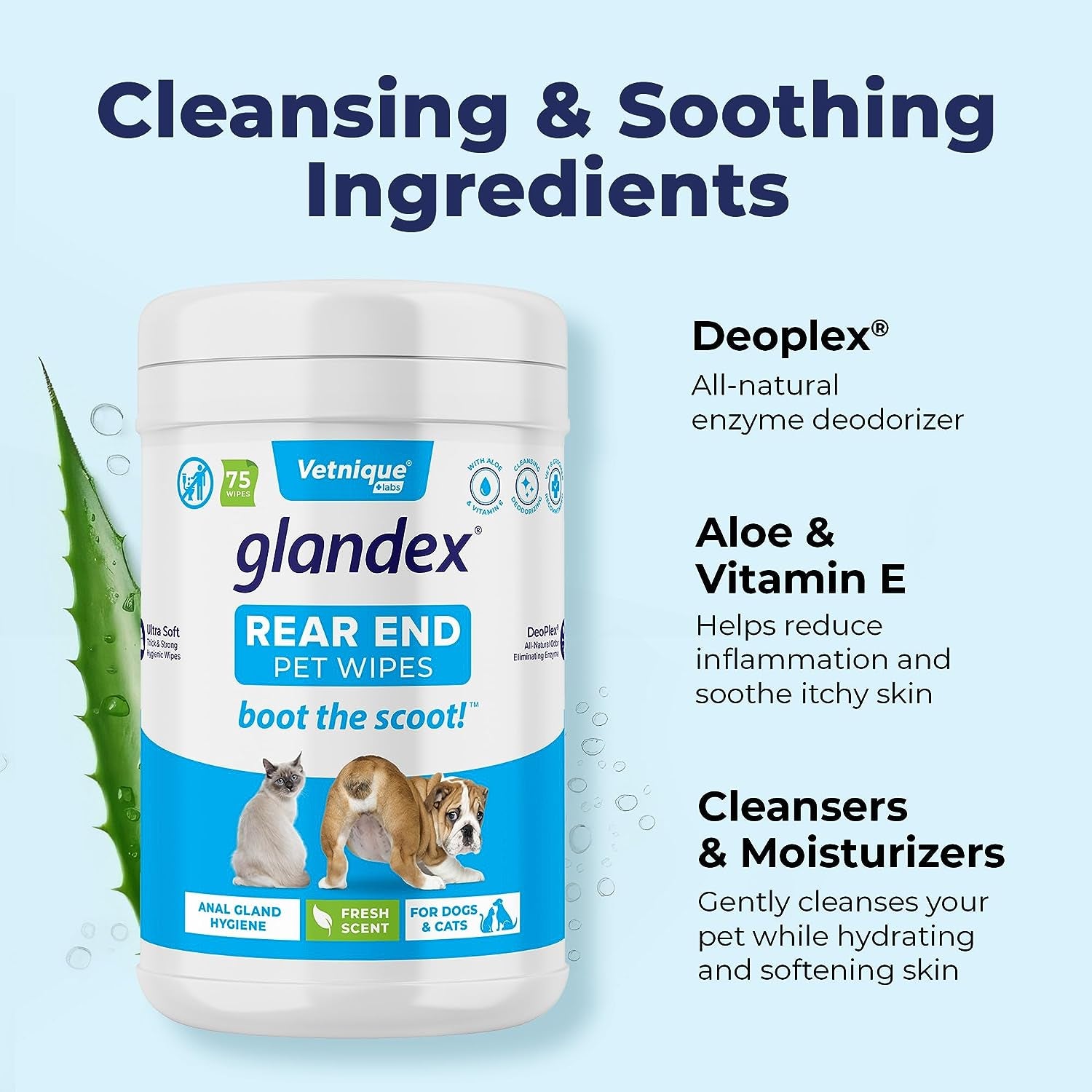 Labs Glandex Dog Wipes for Pets Cleansing & Deodorizing Anal Gland Hygienic Dog & Cat Wipes with Vitamin E, Skin Conditioners and Aloe (75Ct)