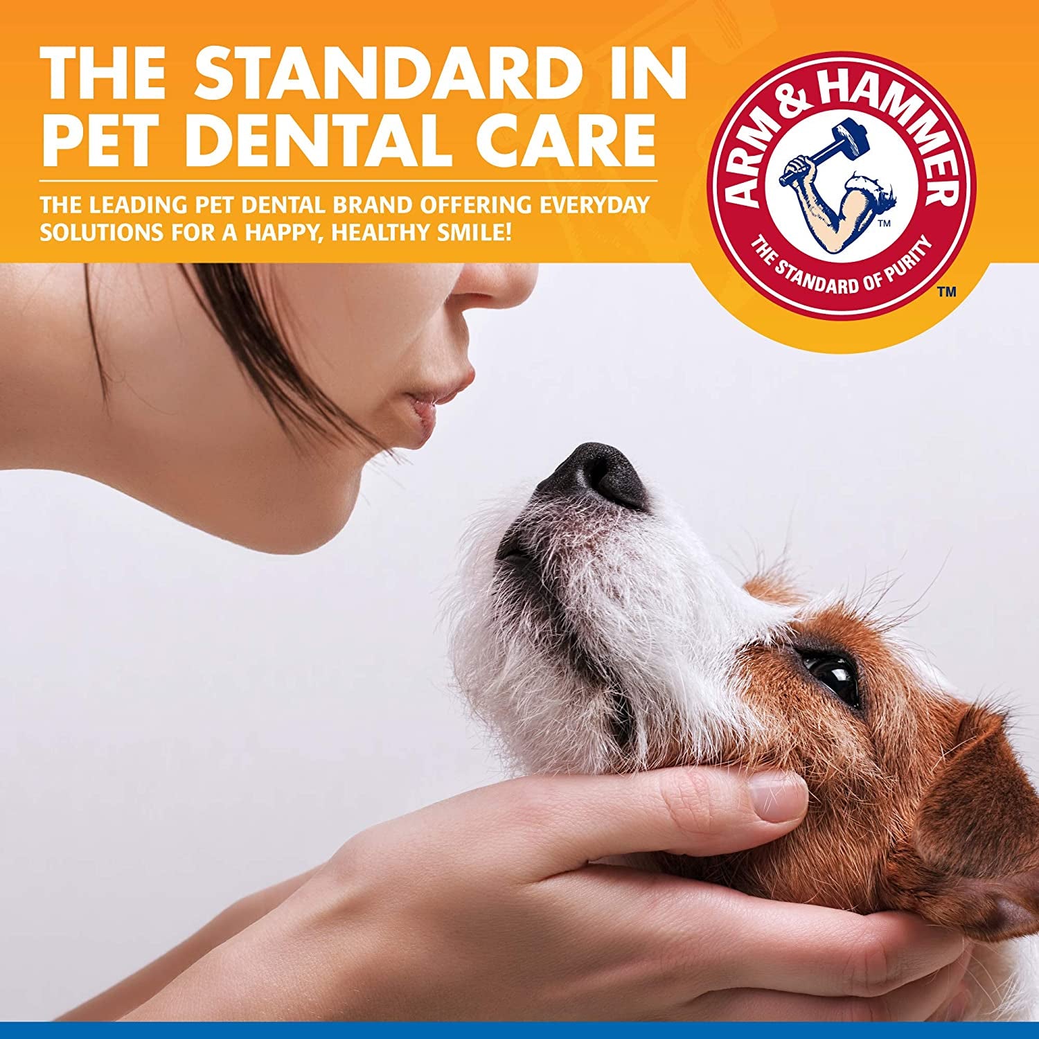 Dog Water Additive for Dental Care - Bad Breath Eliminator for Dogs & Dog Breath Freshener - Dog Tooth Plaque Cleaner & Dog Tartar Remover - 16 Fl Oz Dental Rinse for Dogs - Package of 1