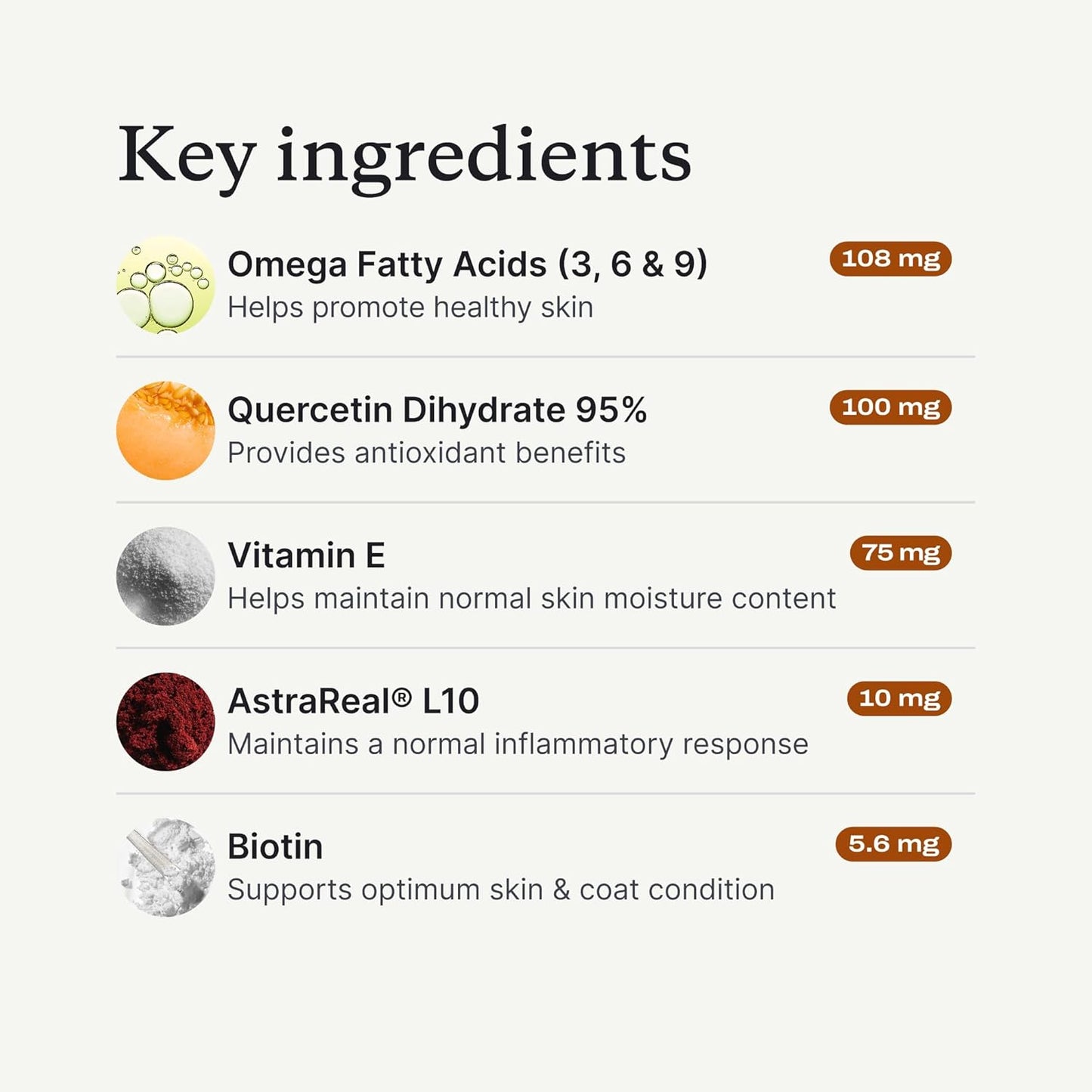 Salmon Itch Relief Chew Pro for Dogs – Omega 3 for Dogs Itch Supplement - Packed with Beneficial Fatty Acids for Healthy Skin – Seasonal Allergies Support - Packaging May Vary
