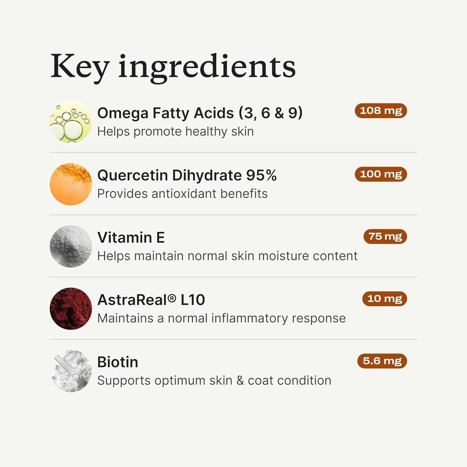 Salmon Itch Relief Chew Pro for Dogs – Omega 3 for Dogs Itch Supplement - Packed with Beneficial Fatty Acids for Healthy Skin – Seasonal Allergies Support - Packaging May Vary