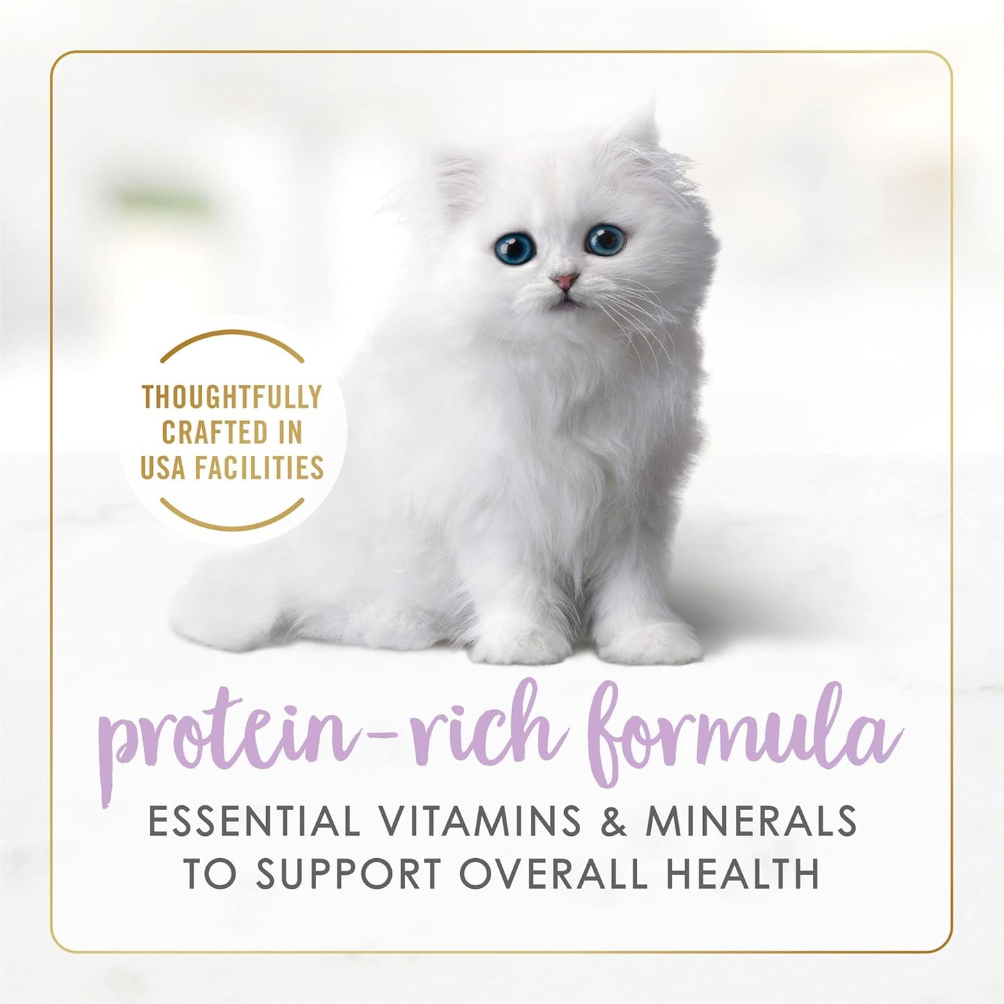 Purina  Kitten Tender Chicken Feast Wet Kitten Food Pate - (Pack of 24) 3 Oz. Cans