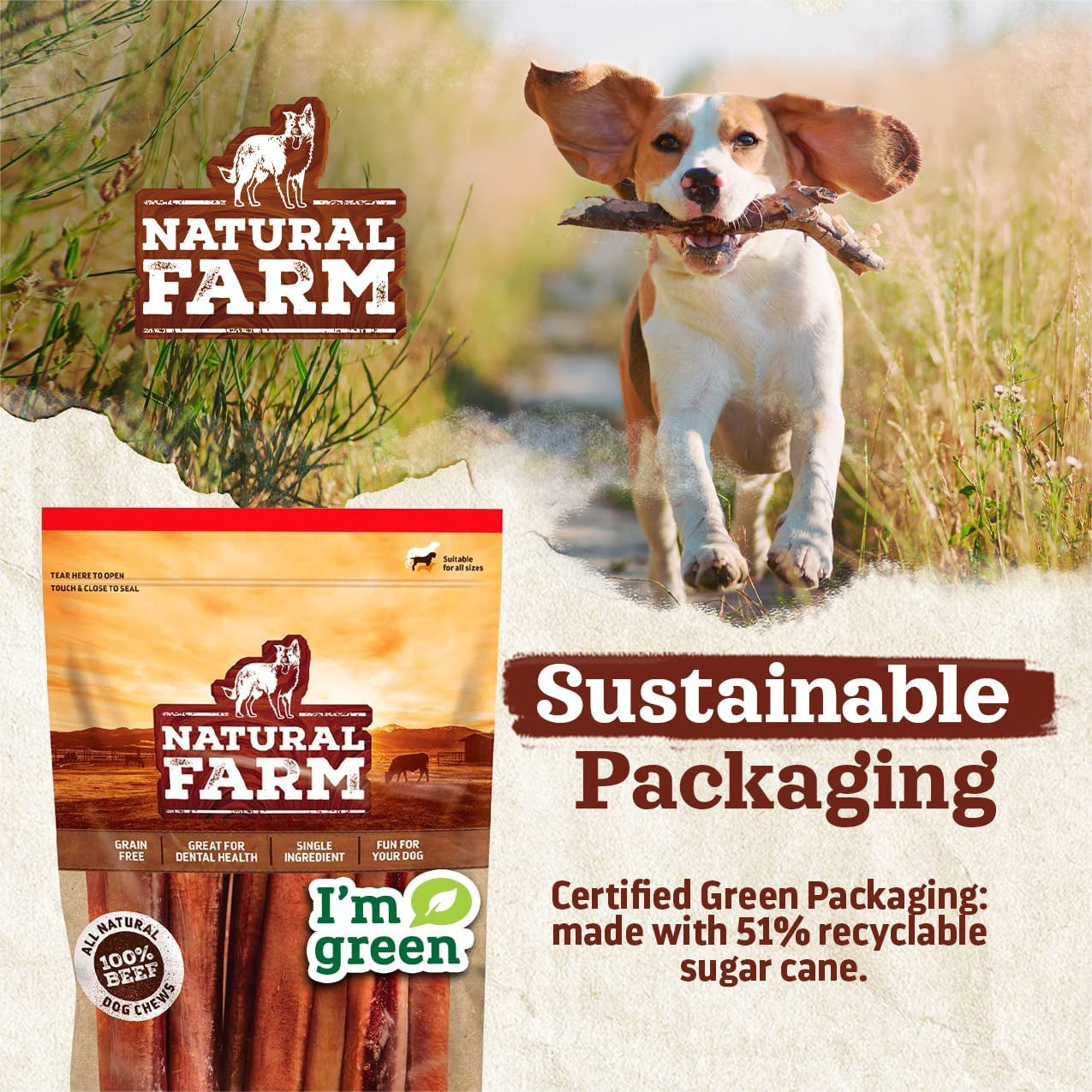 Odor-Free Bully Sticks (12 Inch, 12 Pack), 1.2 Lbs. per Bag, 100% Beef Pizzle Chews, Grass-Fed, Non-Gmo, Fully Digestible Long Lasting Best Dental Treats to Keep Your Dogs Busy