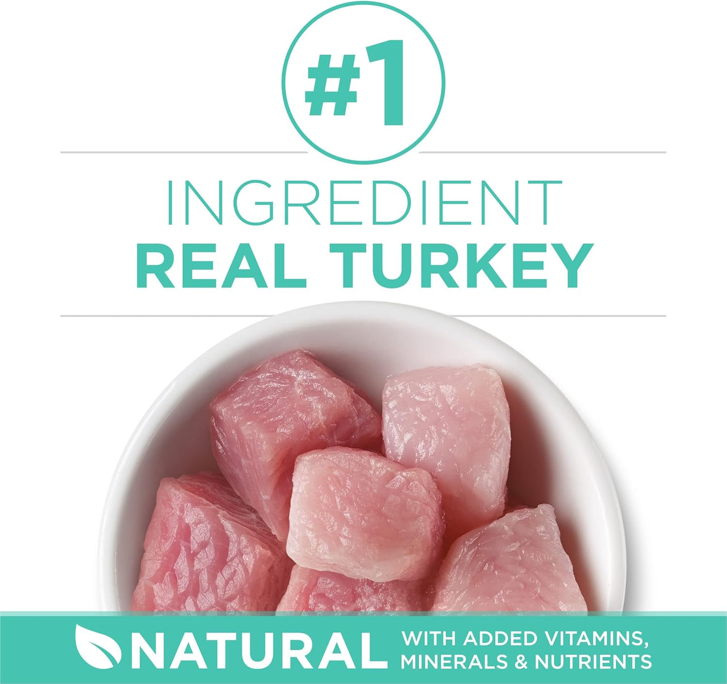 Sensitive Stomach, Sensitive Skin, Natural Dry Cat Food, +Plus Sensitive Skin and Stomach Formula - 16 Lb. Bag