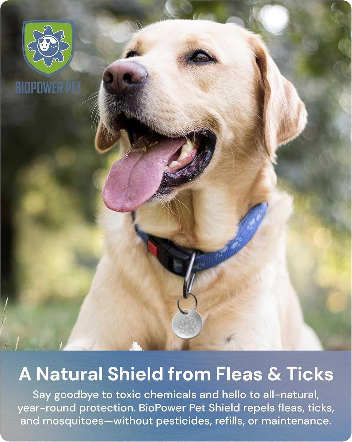 Natural Flea & Tick Repellent Collar Tag for Dogs & Cats –  Shield – Safe for Pets When Used as Directed – Lasts 1 Full Year (1Pack)