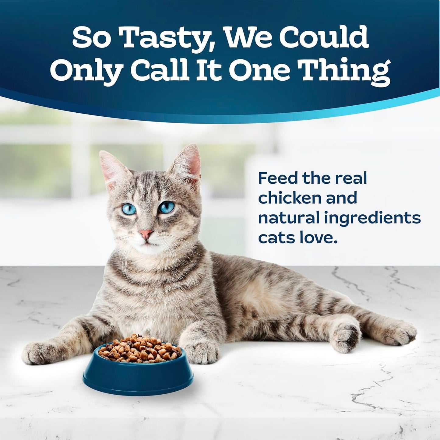 Blue Tastefuls Natural Adult Indoor Cat Chicken & Brown Rice Recipe Food for Cats 10 Lb