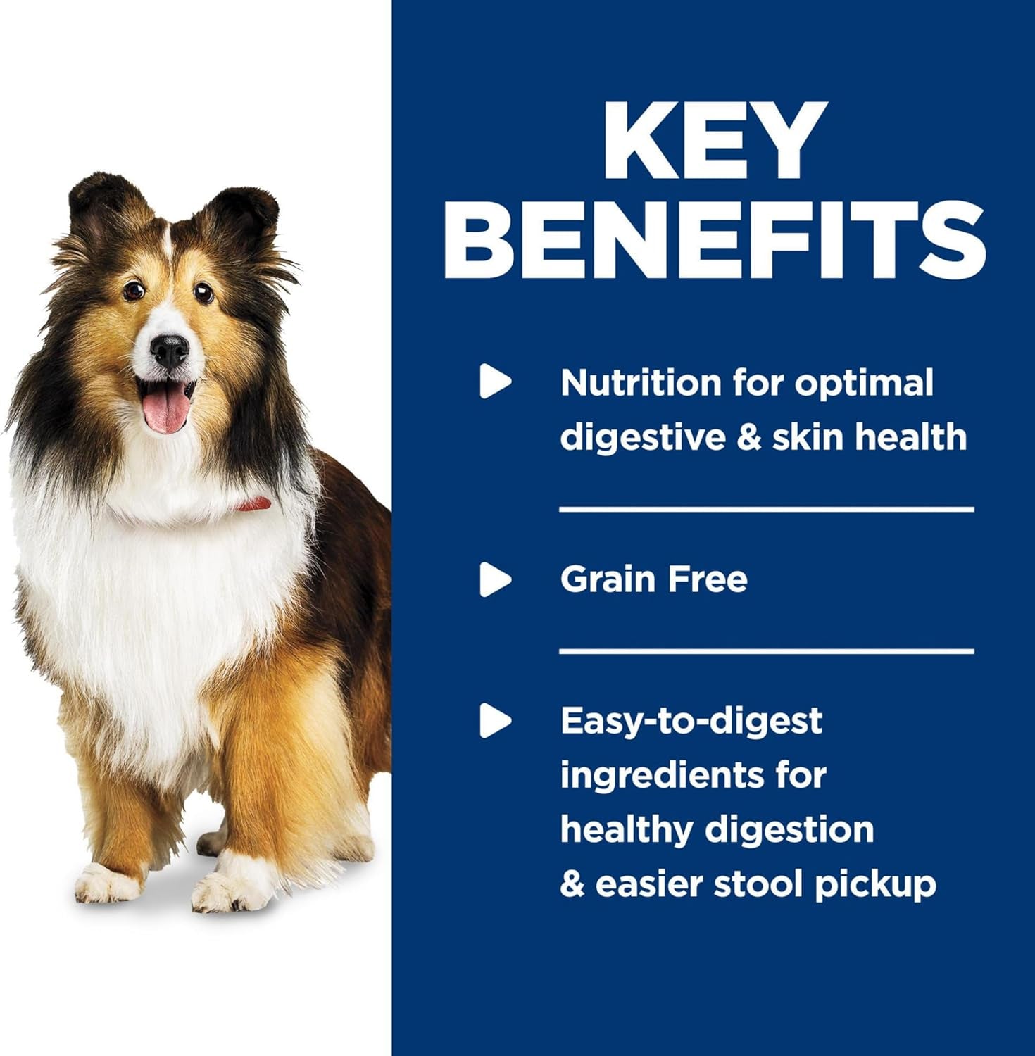 Sensitive Stomach & Skin, Adult 1-6, Stomach & Skin Sensitivity Support, Wet Dog Food, Salmon & Vegetables Loaf, 12.8 Oz Can, Case of 12