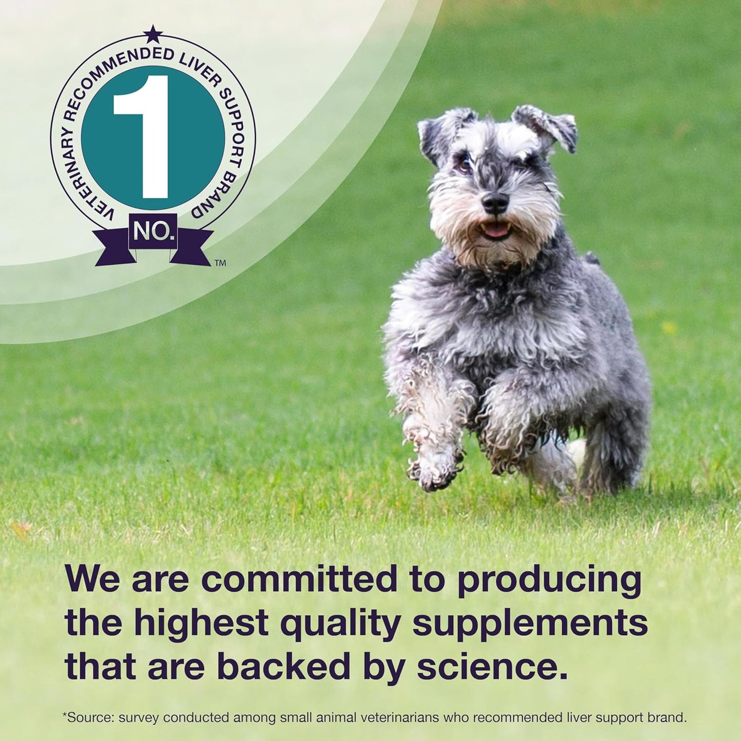 Denamarin Liver Health Supplement for Medium Dogs - with S-Adenosylmethionine (Same) and Silybin, 30 Tablets