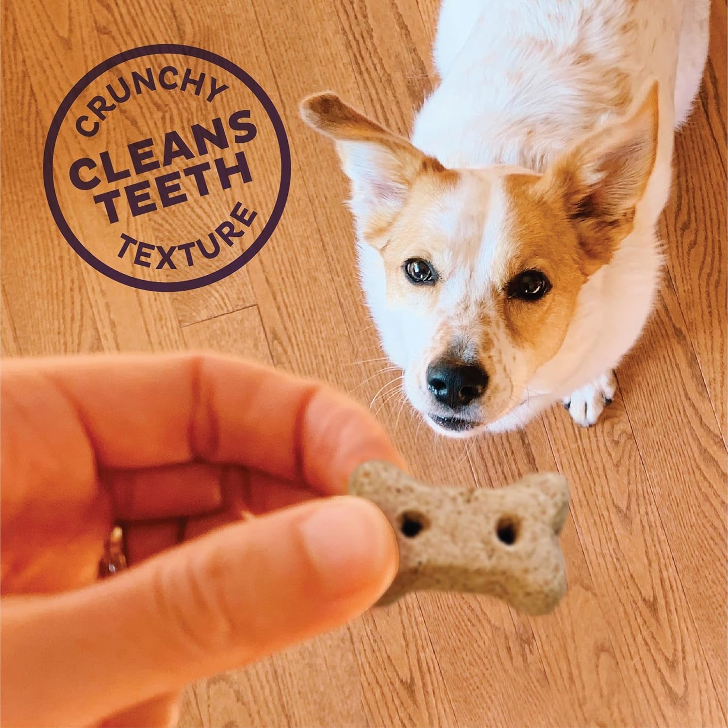 Wellness Savory Mix Dog Biscuits, Natural, Training Treats, Mini Size, (20 Ounce Bag)