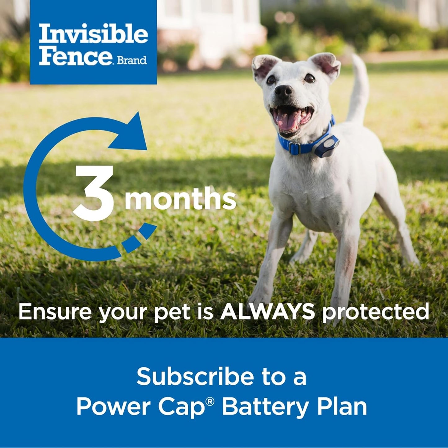 Power Cap Battery - Original IFB Electric Fence Battery Replacement for Dog Collars - Long-Lasting - 1 Pack