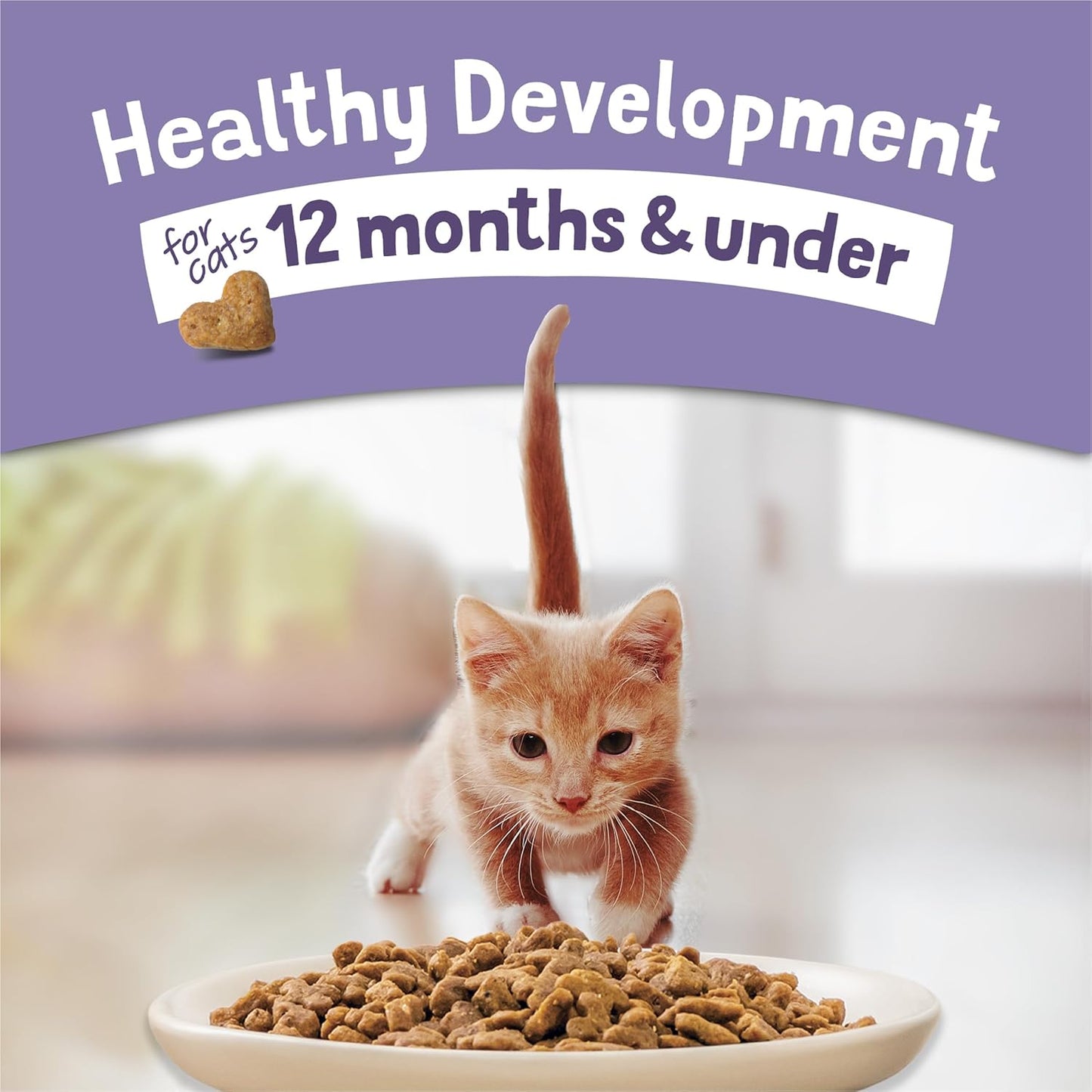 Purina Kitten Chow 14Lb