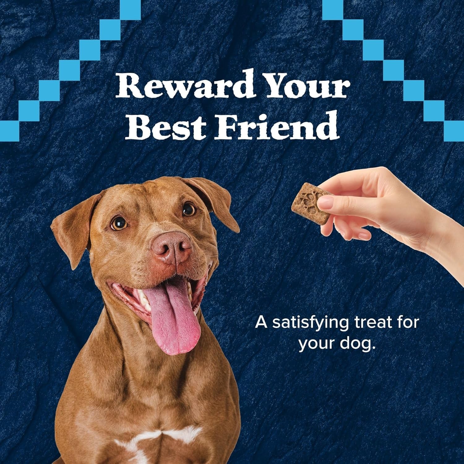 Wilderness Trail Treats Crunchy Dog Biscuits, Grain-Free and High-Protein Dog Treats Made with Natural Ingredients, Salmon Recipe 24-Oz Bag