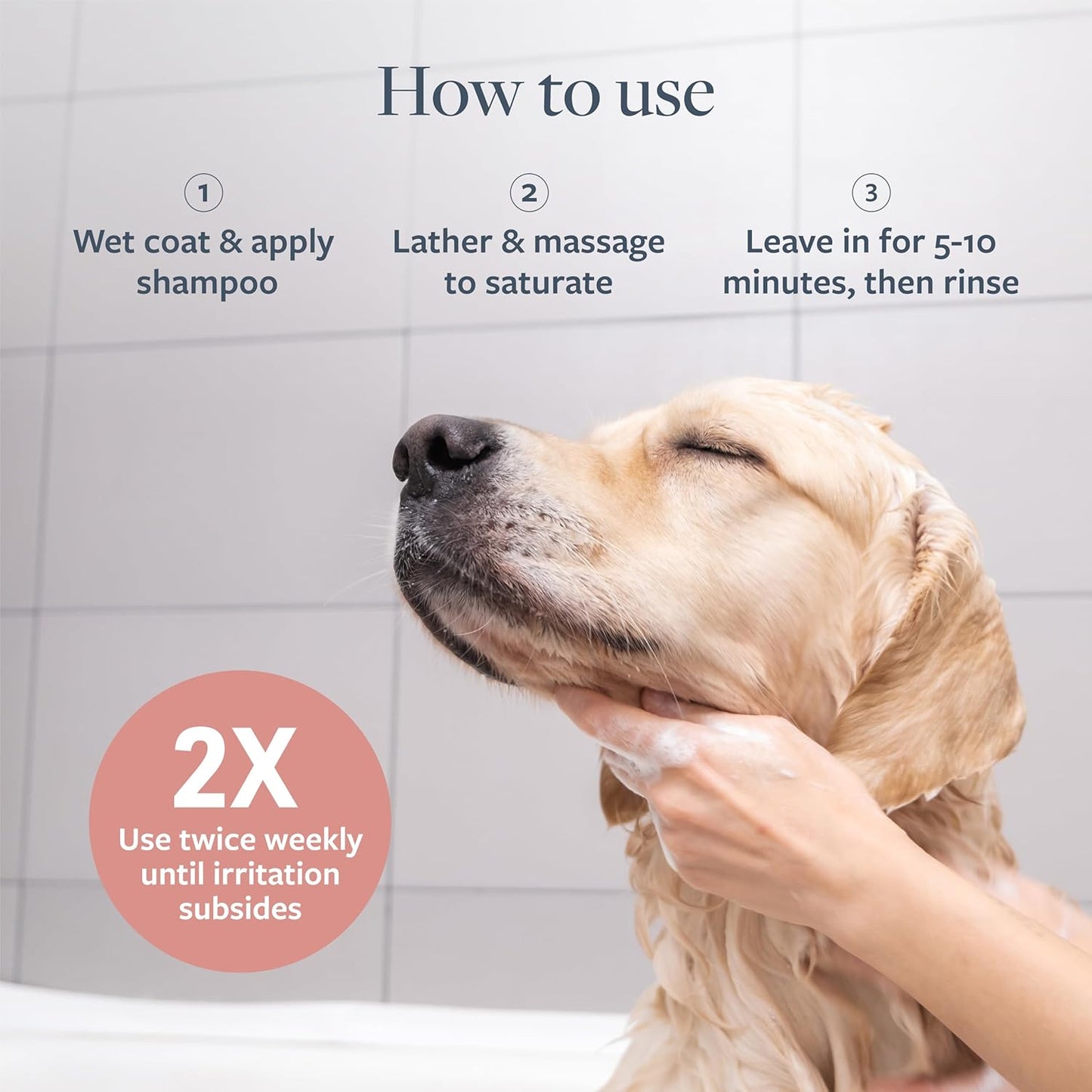 Clinical Care Hot Spot & Itch Relief Medicated Shampoo for Dogs and Cats 16Oz – Helps Alleviate Sensitive Skin, Scratching, and Licking of Coat