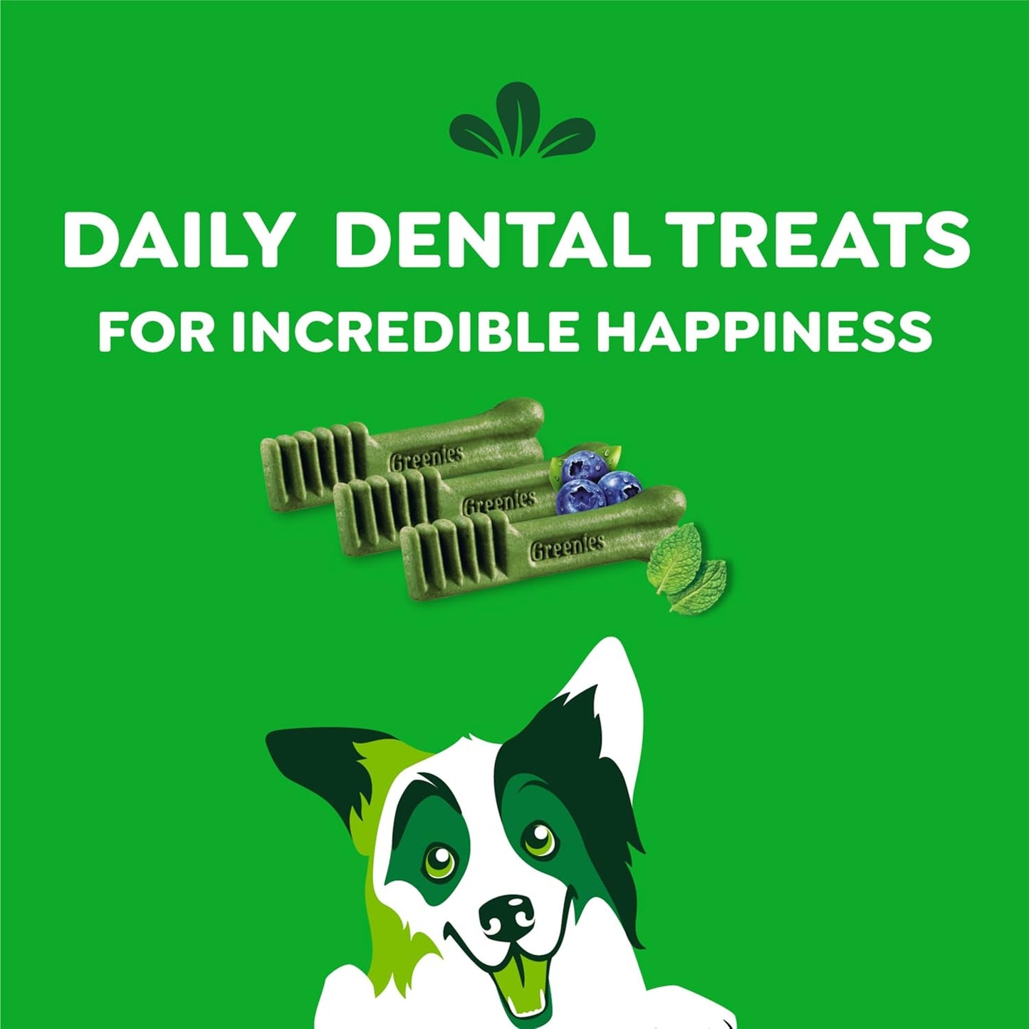 Regular Dental Dog Treats, 3-Flavor Variety Pack, (3) 12 Oz. Pouches, 36 Total Treats