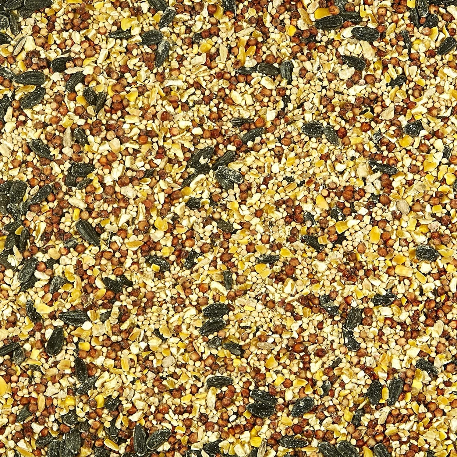 All American Wild Bird Food Seed Blend, 5 Pound