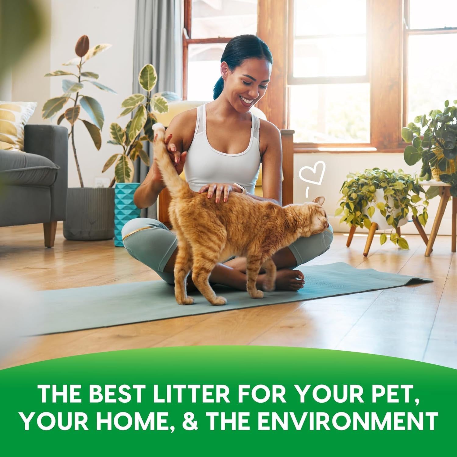 Recycled Paper, Original Pellet Cat Litter, 25 Pound
