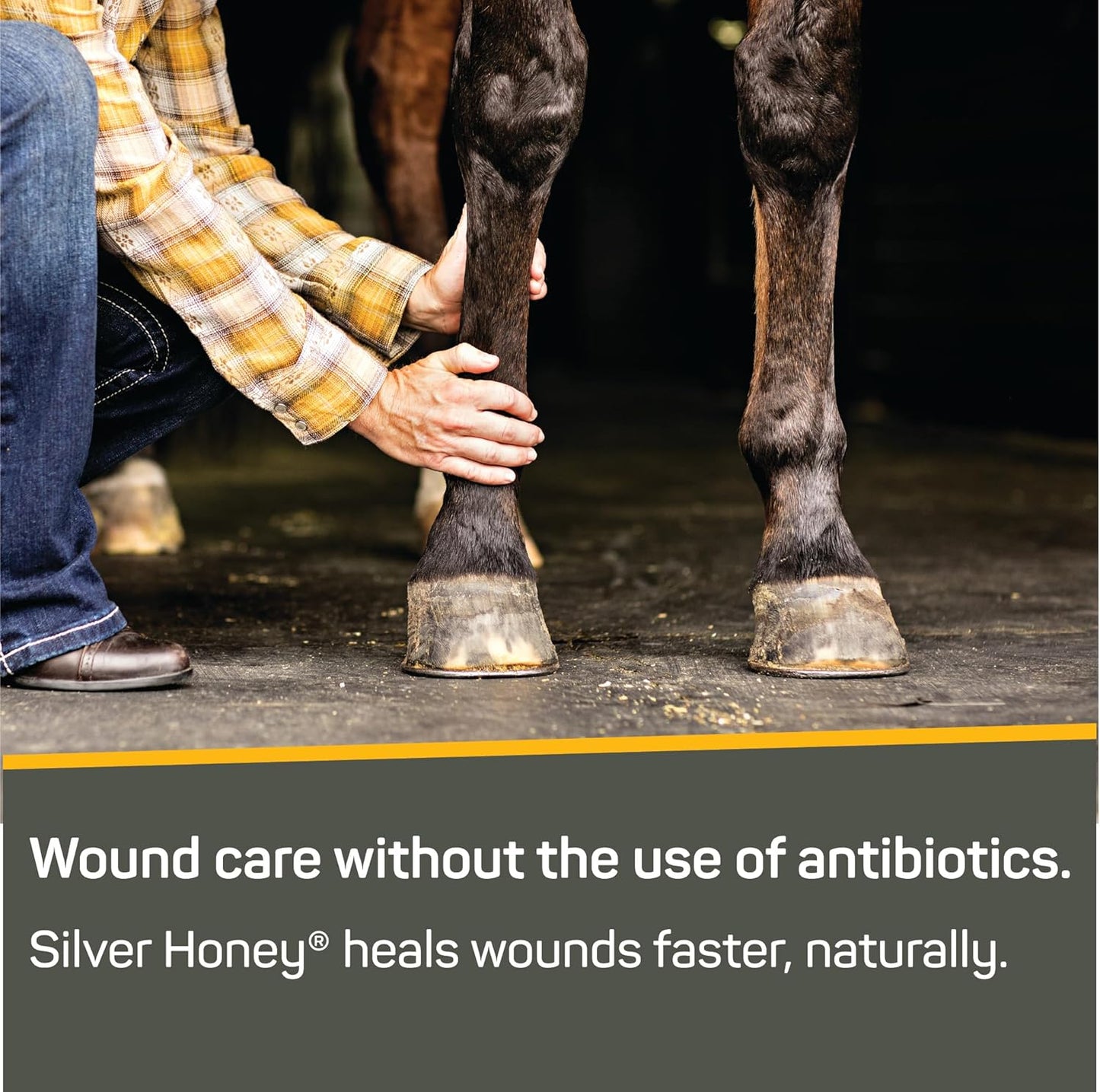 Silver Honey Rapid Wound Repair Ointment 2Oz Tube, Manuka Honey & Microsilver BG