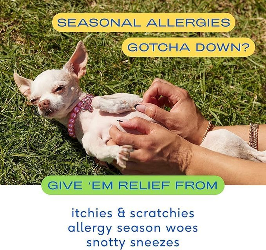 Dog Allergy Chews - Dog Allergy Relief with Probiotics and Colostrum for Itchy Skin Relief to Support Seasonal Allergy and Healthy Immune System - All Natural Anti-Histamine - 60 Chews