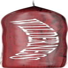 Wilderness Rocky Mountain High-Protein Adult Dry Dog Food Wholesome Grains Red Meat, 24Lb. Bag