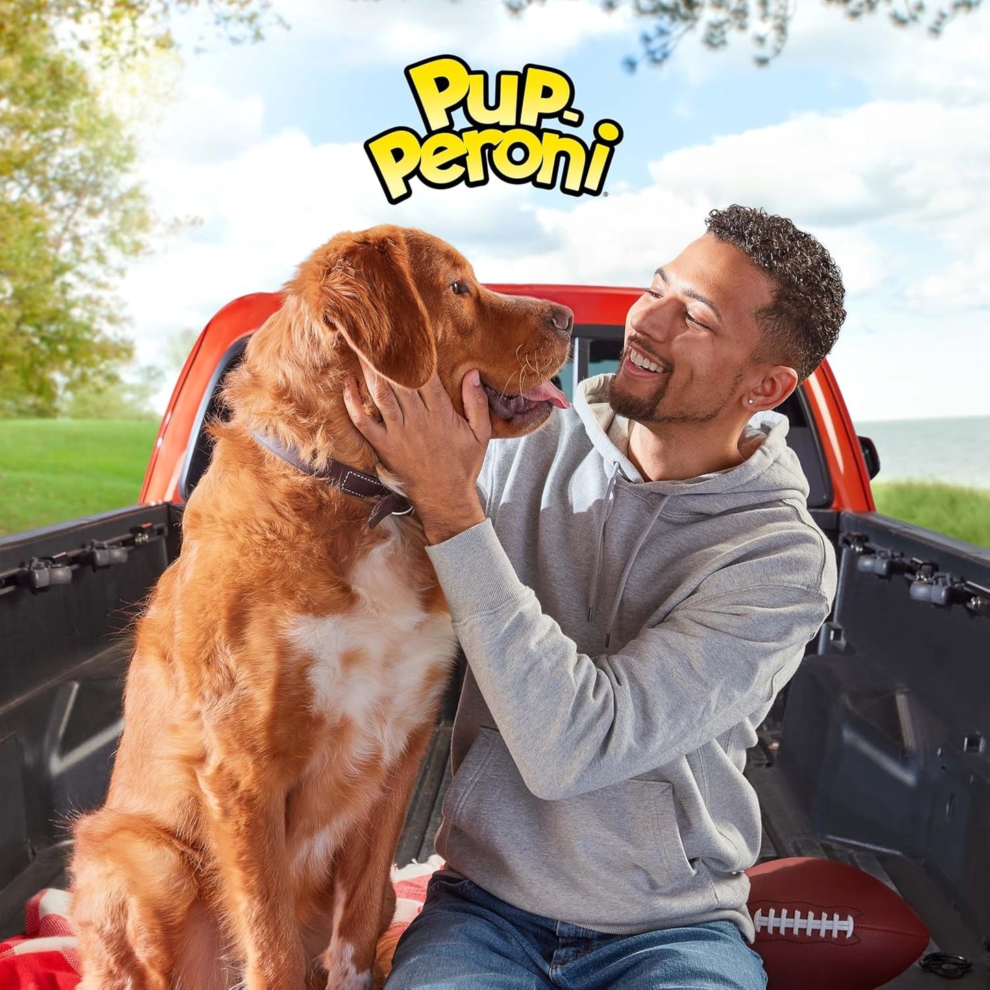 Dog Treats, Original Beef Flavor, 38 Ounce, Made with Real Beef
