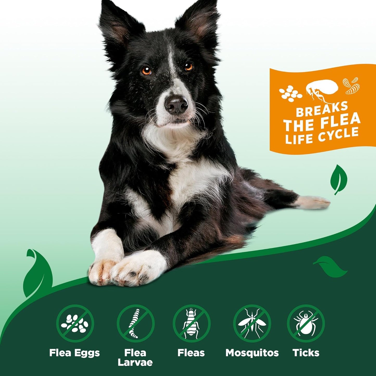 Natural Indoor Flea and Tick Spray – Dog Flea and Tick Treatment for Home, Plant-Based Formula with Natural Oils, Kills Fleas, Eggs & Ticks on Contact, Made in USA, 32 Oz